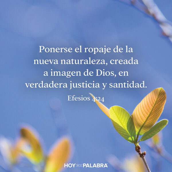 Nuevo estilo de vida