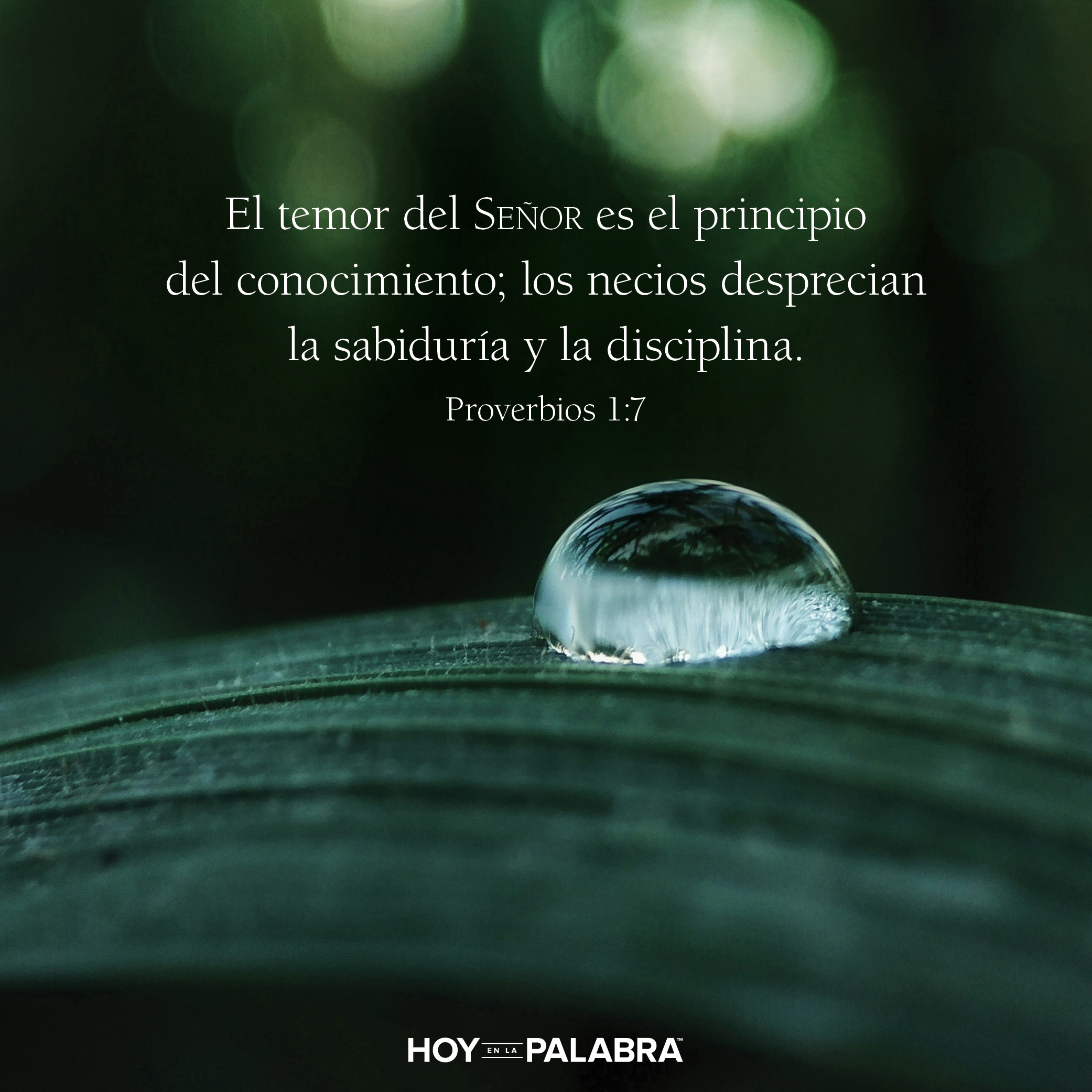 EL PRINCIPIO DE LA SABIDURÍA (1)