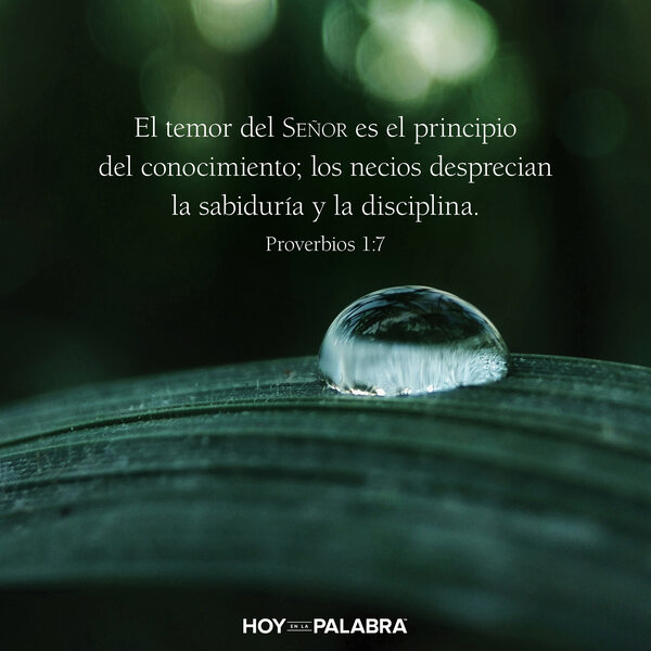 EL PRINCIPIO DE LA SABIDURÍA (1)