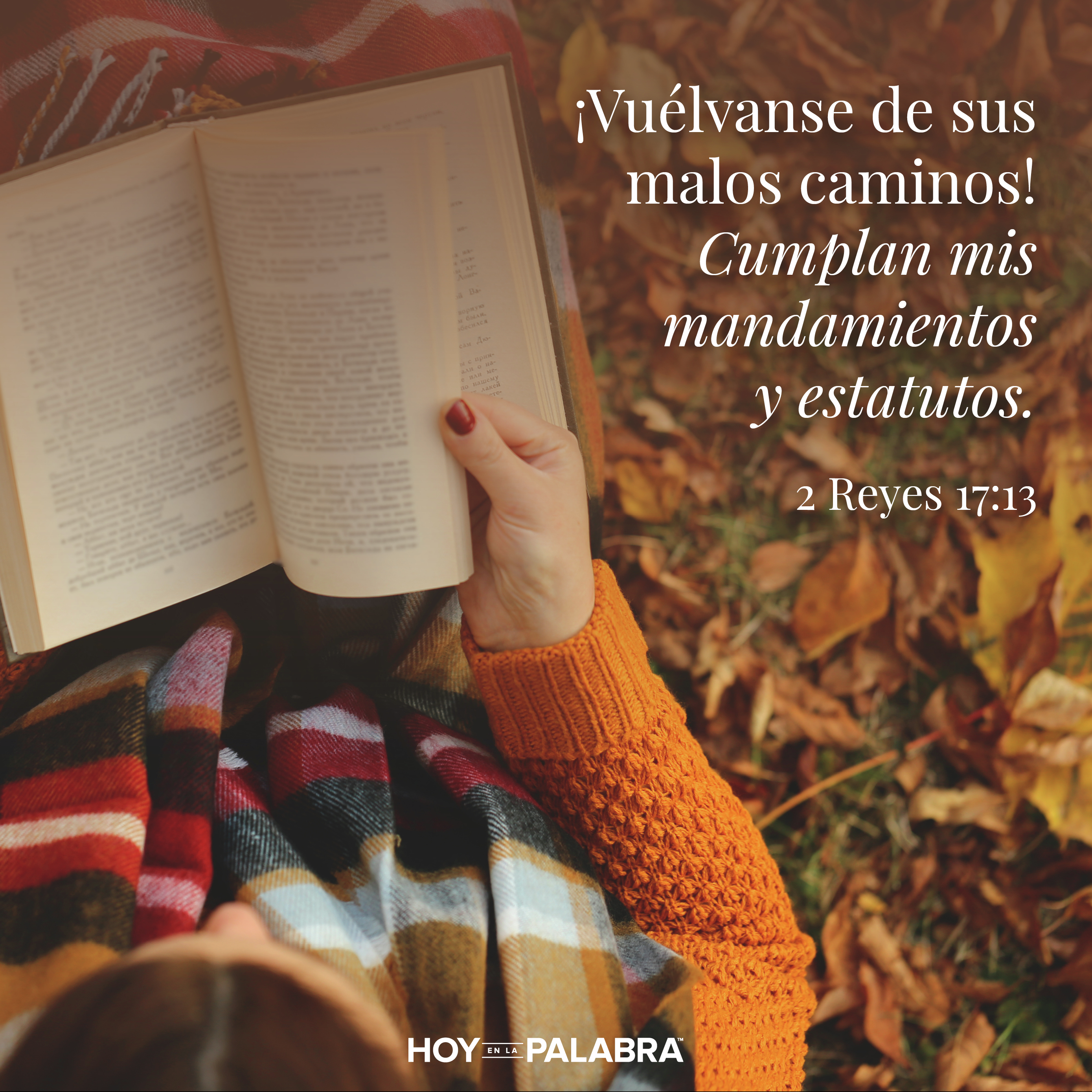 LA RAZÓN DEL “POR QUÉ”