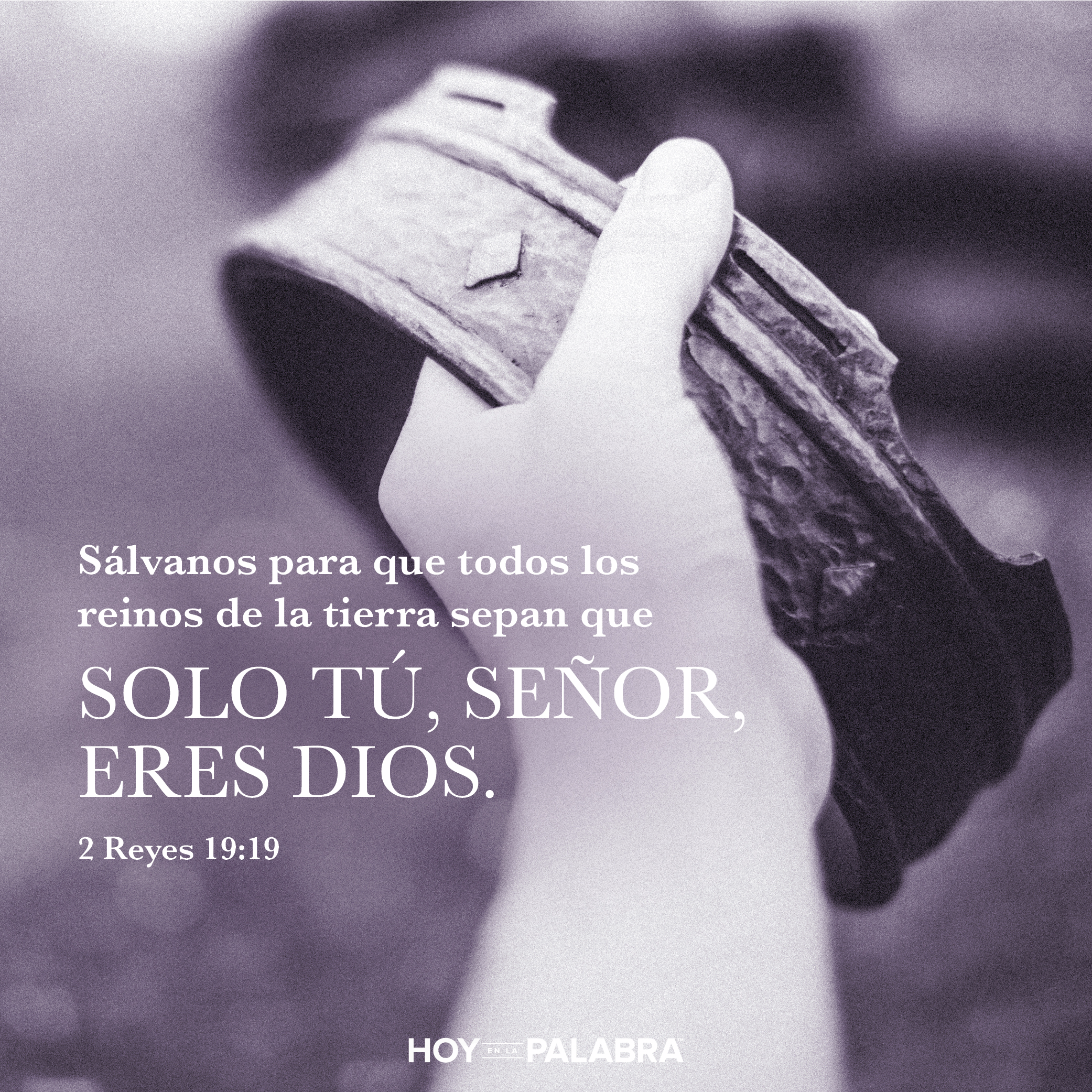 VESTIMENTAS SENCILLAS