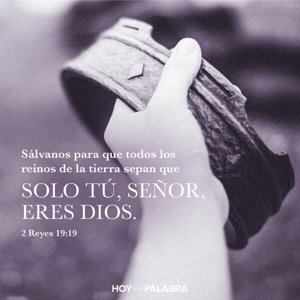 VESTIMENTAS SENCILLAS