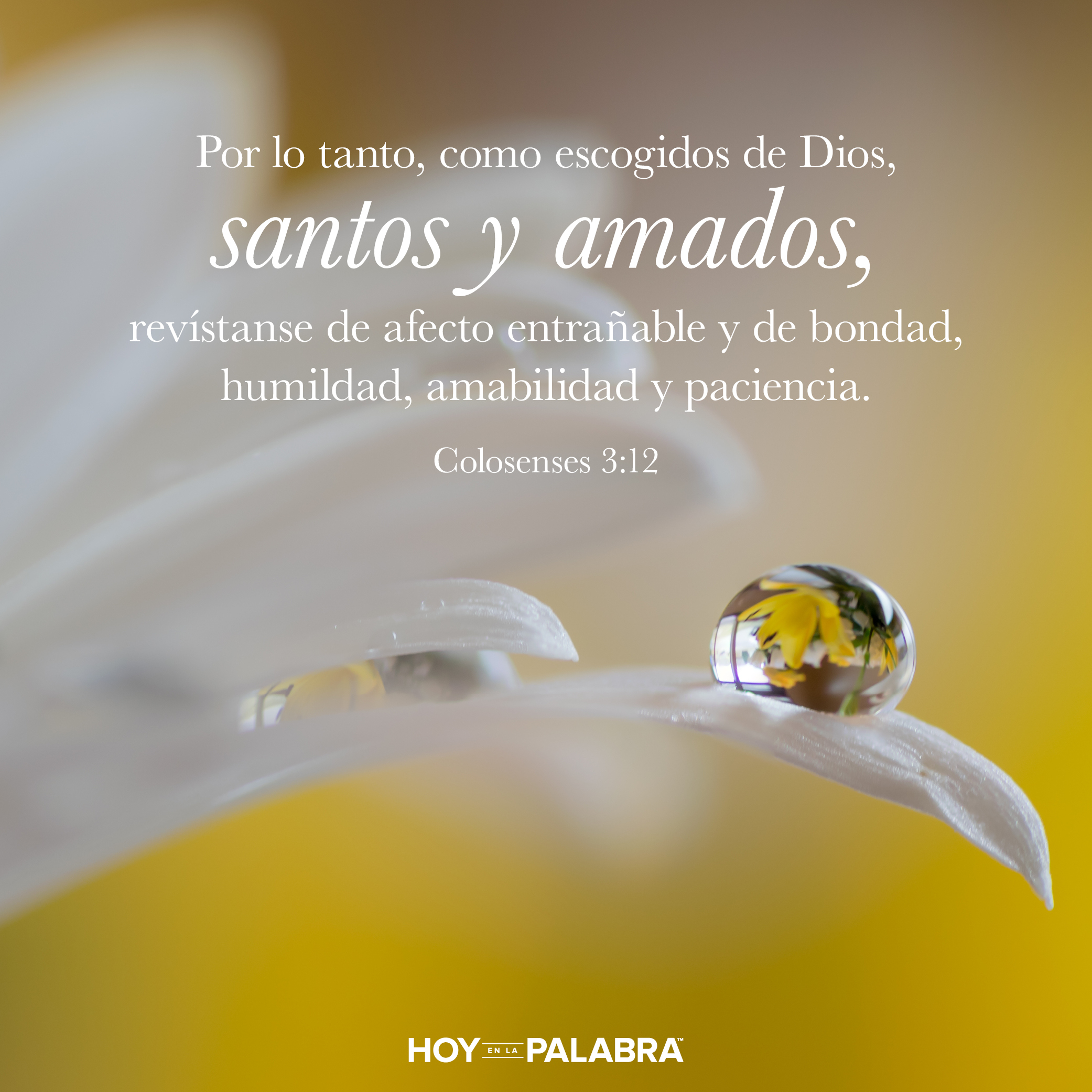 Humillación inmerecida