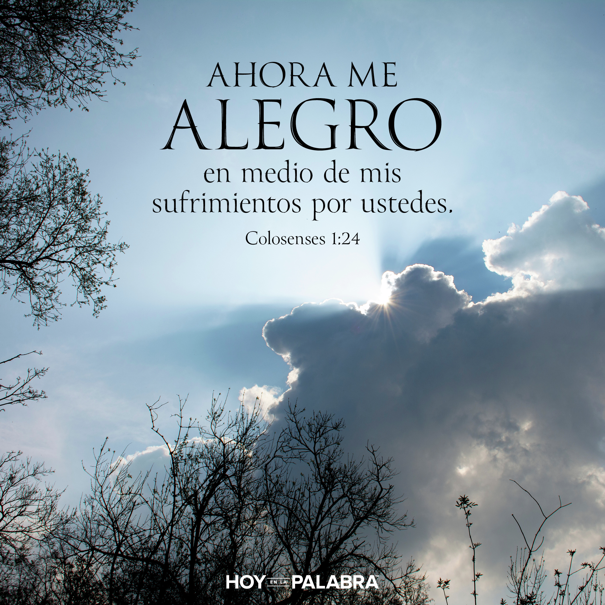 GOZO EN EL SUFRIMIENTO