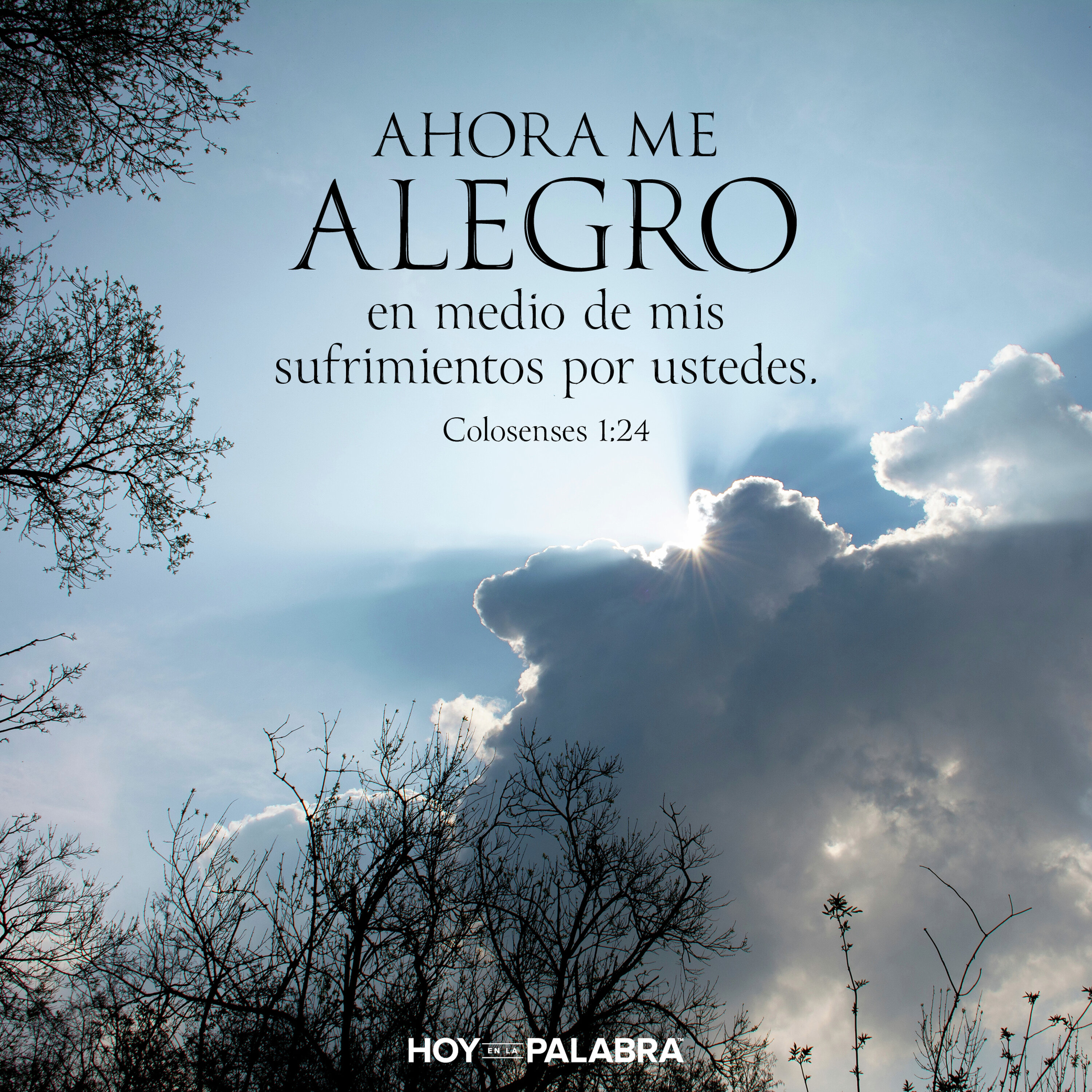 GOZO EN EL SUFRIMIENTO
