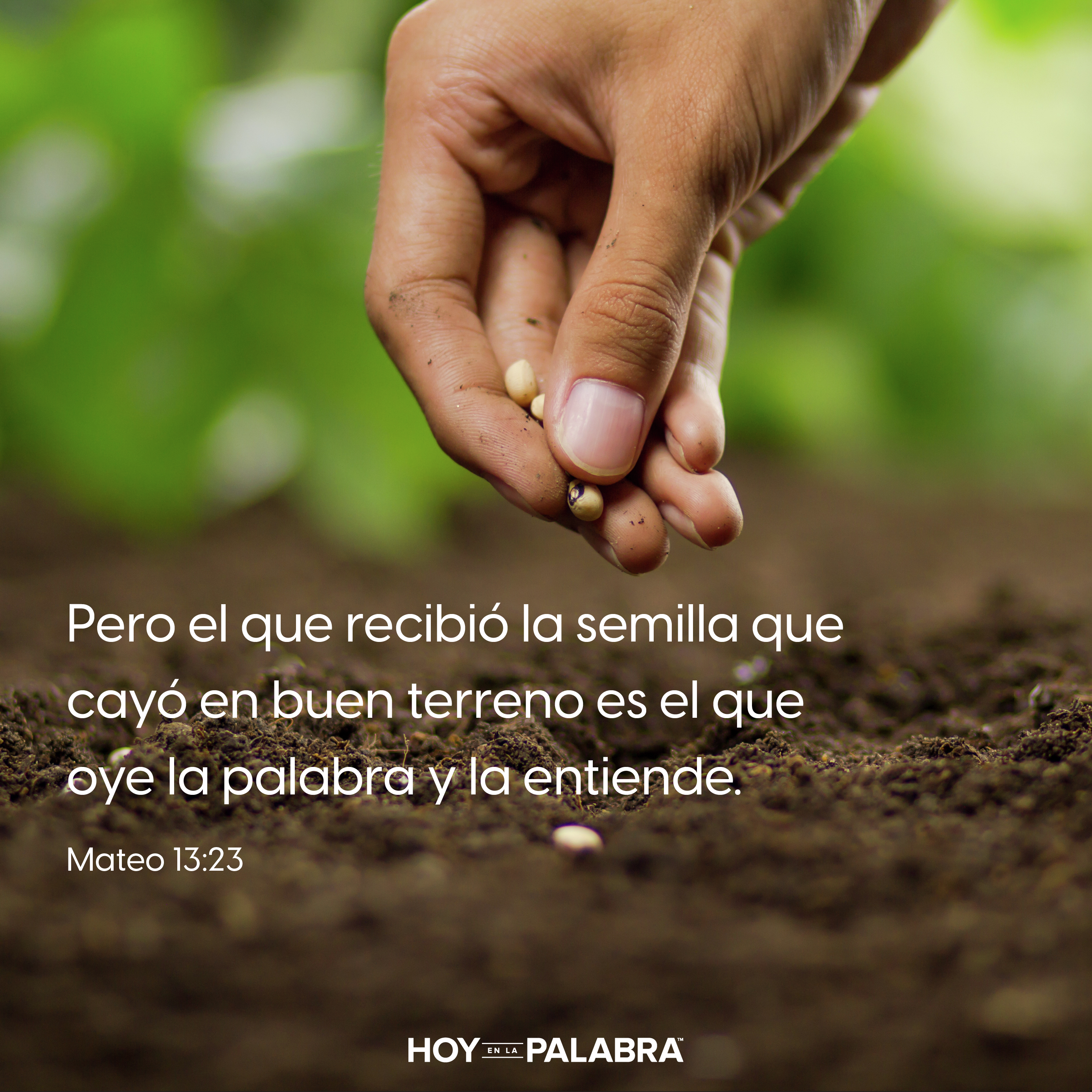 LA SEMILLA DE SU PRESENCIA