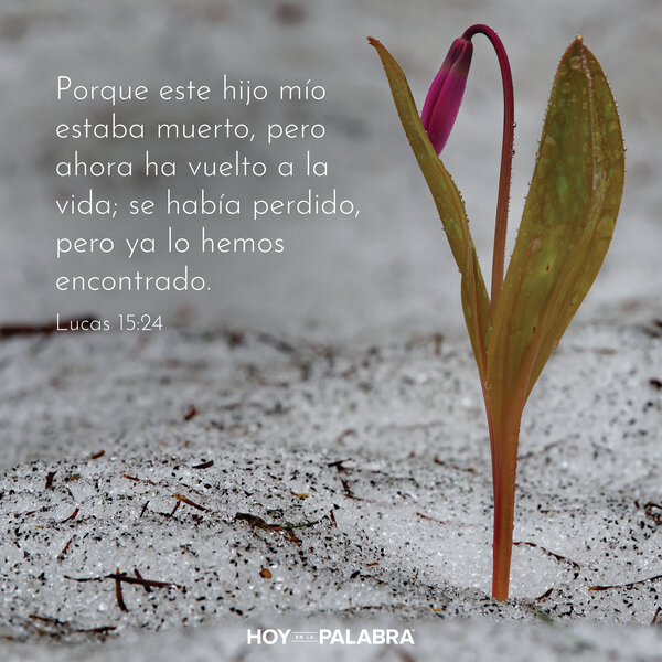 El Padre que perdona