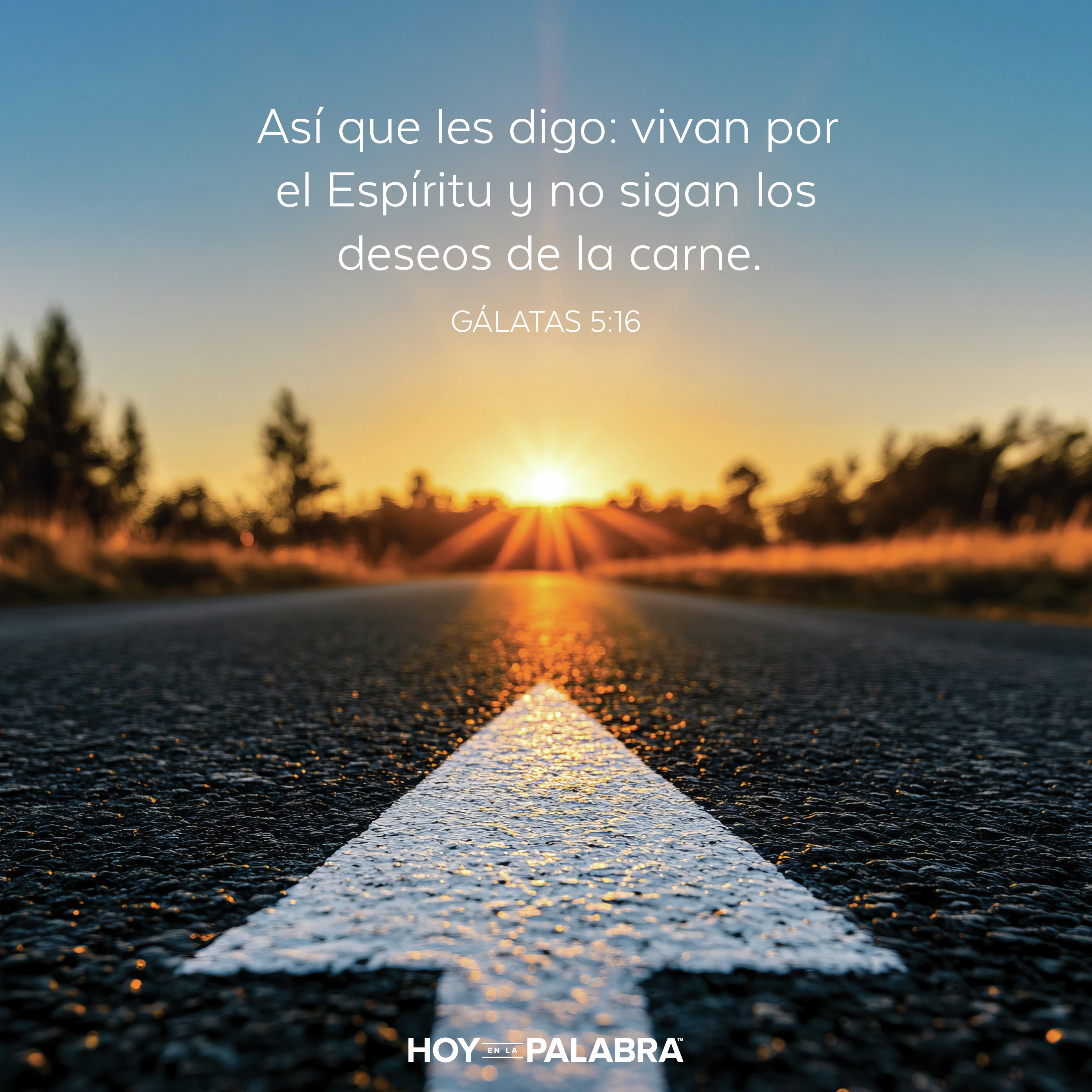 CAMINA EN EL ESPÍRITU