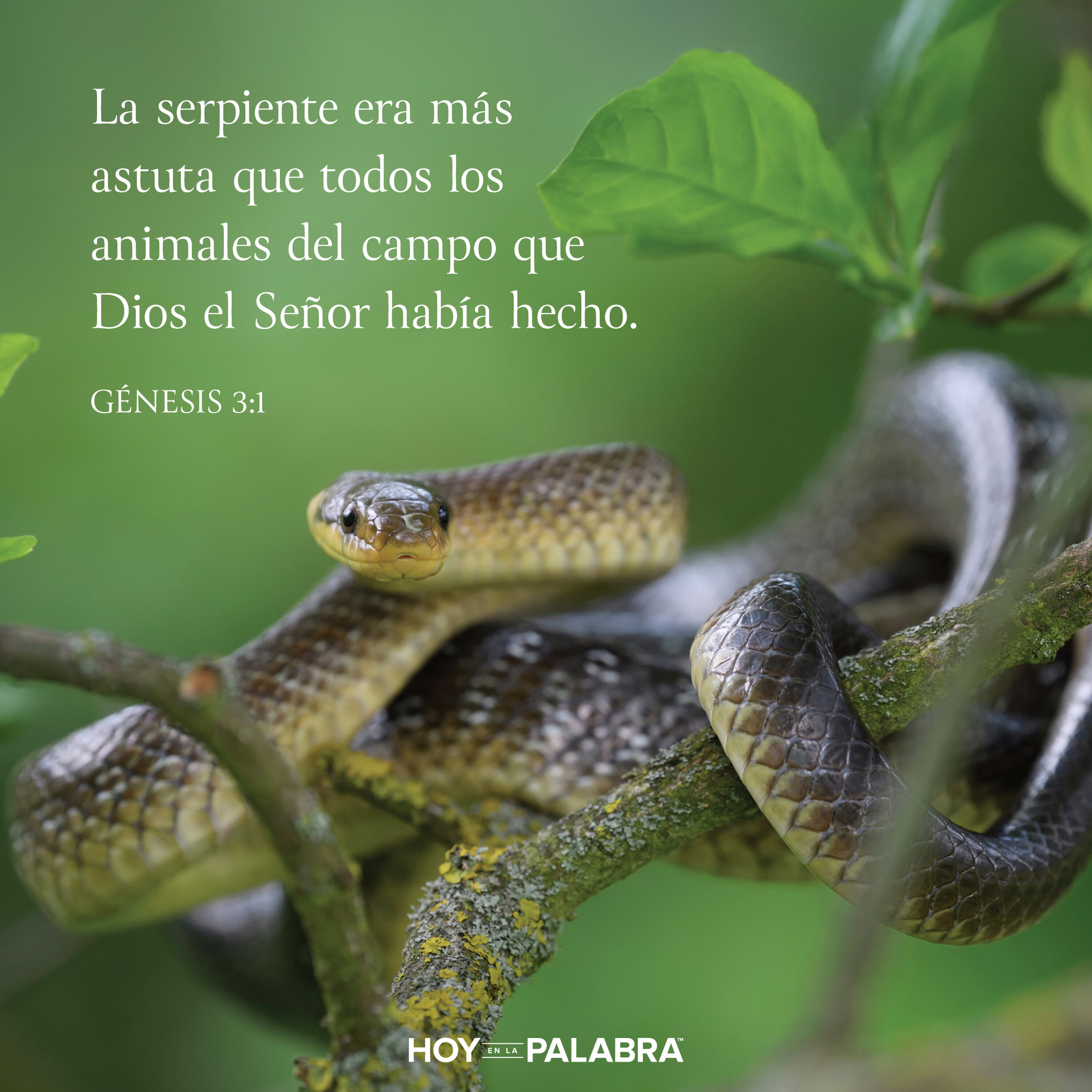 LA SERPIENTE ASTUTA