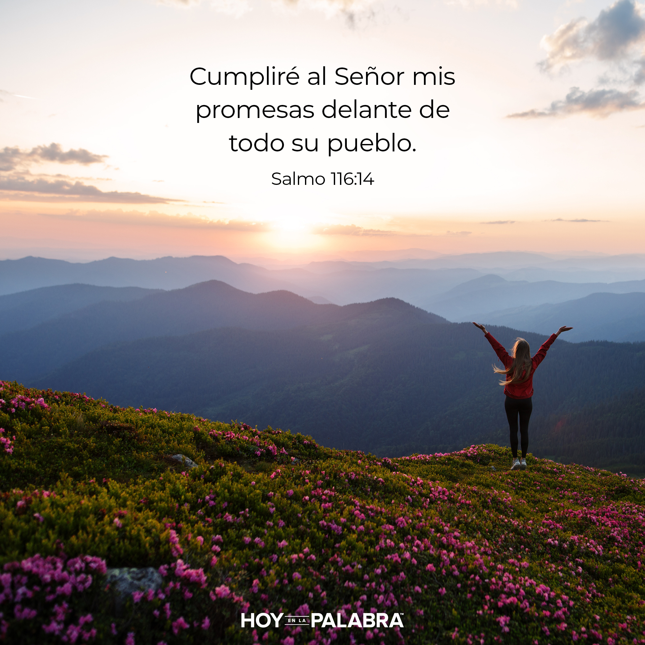Promesas cumplidas
