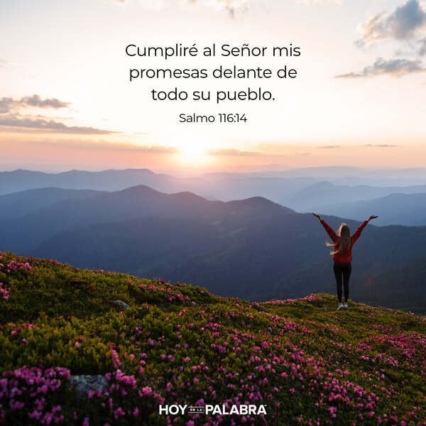 Promesas cumplidas