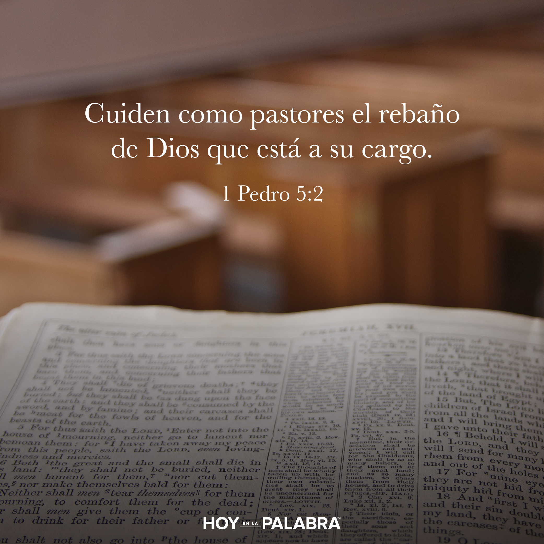 Cuidando a las ovejas