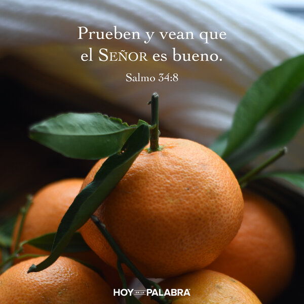 ¡Es hora de crecer!