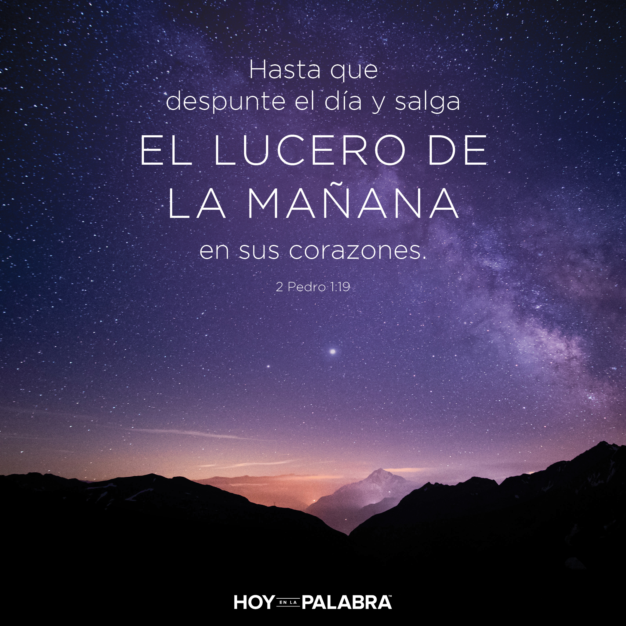 Comfiabilidad absoluta