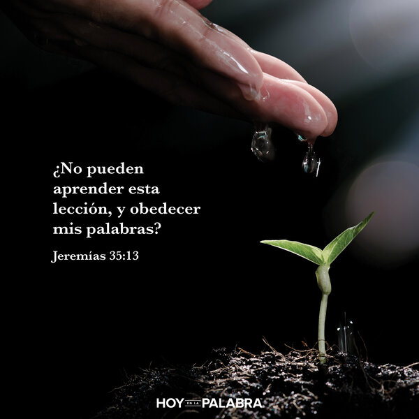 Desaprovechar el aprendizaje