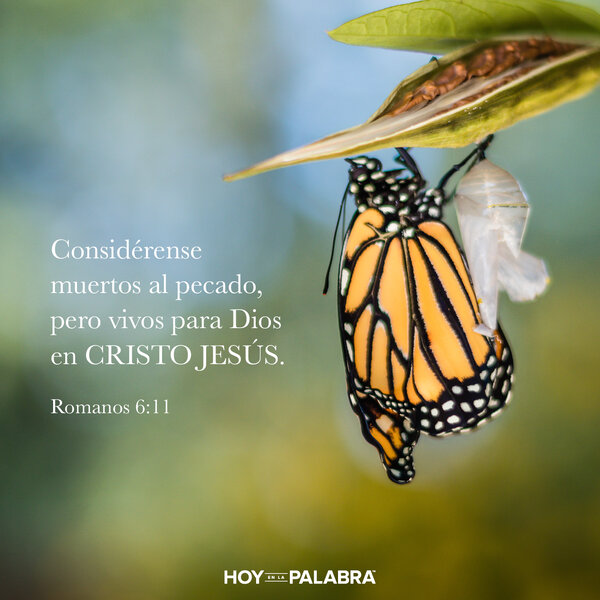 Escapar del control del pecado