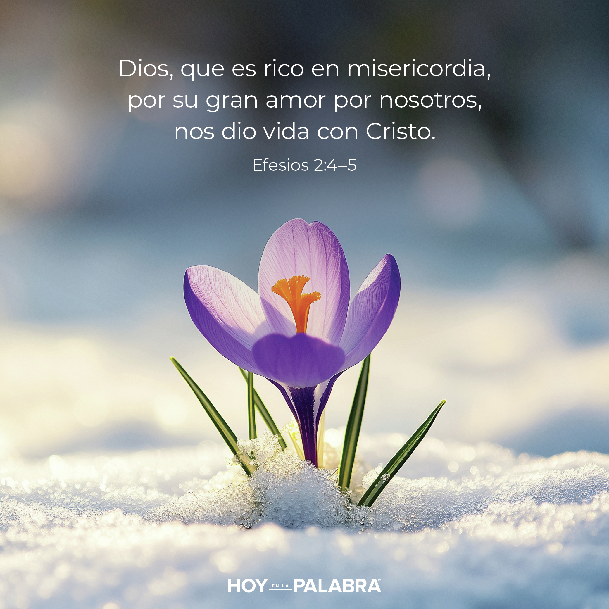 LEVANTADOS PARA SERVIR