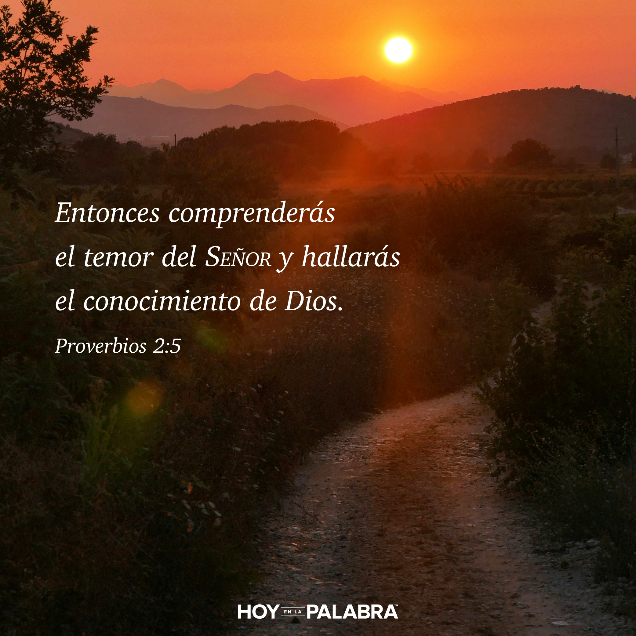 EL TEMOR DEL SEÑOR, LA SABIDURÍA Y EL “SHALOM”