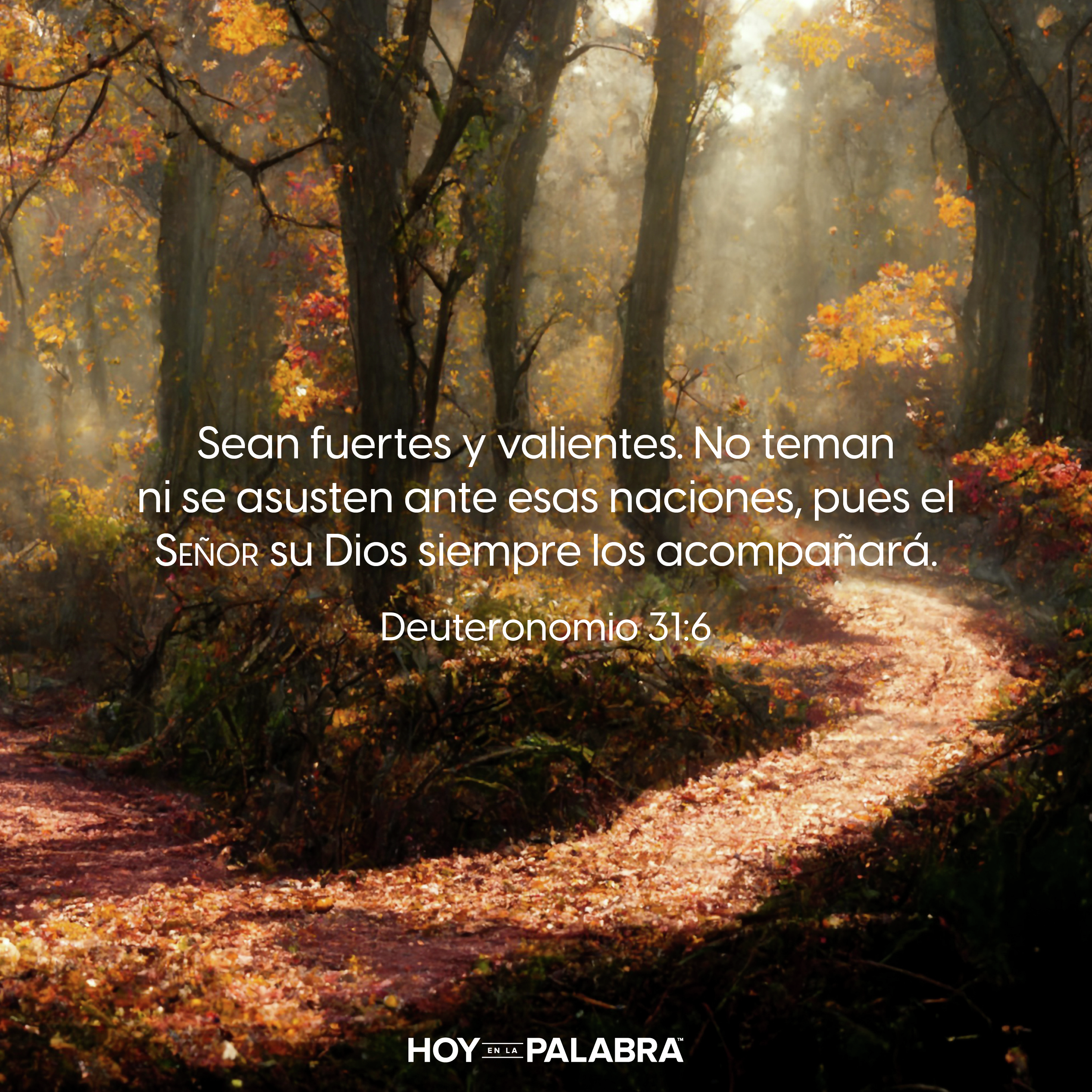 UN RIEGO DIGNO DE RECOMPENSA