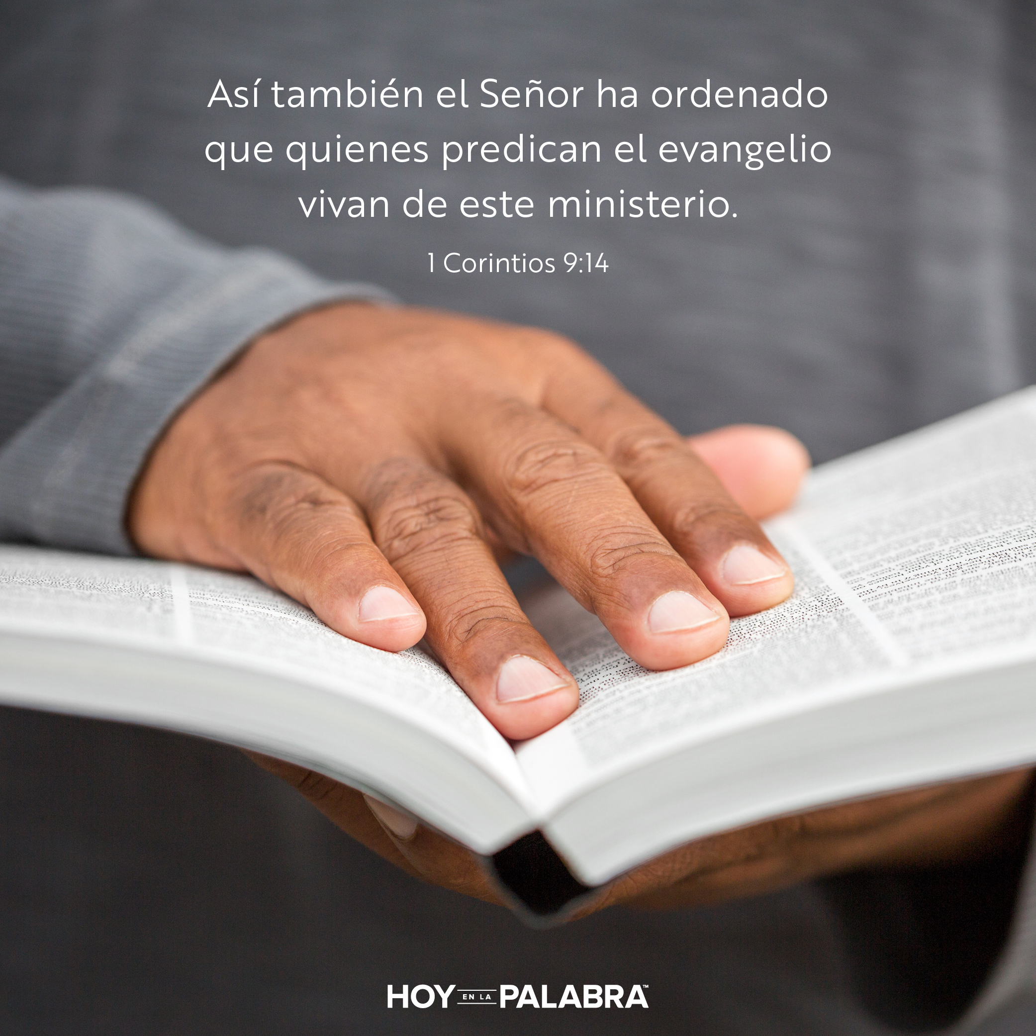 La línea de abastecimiento divina