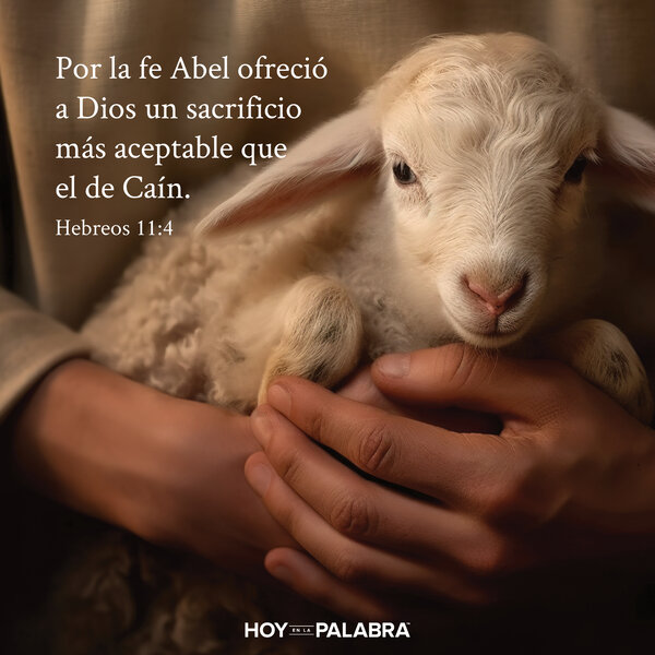 Guerras de adoración