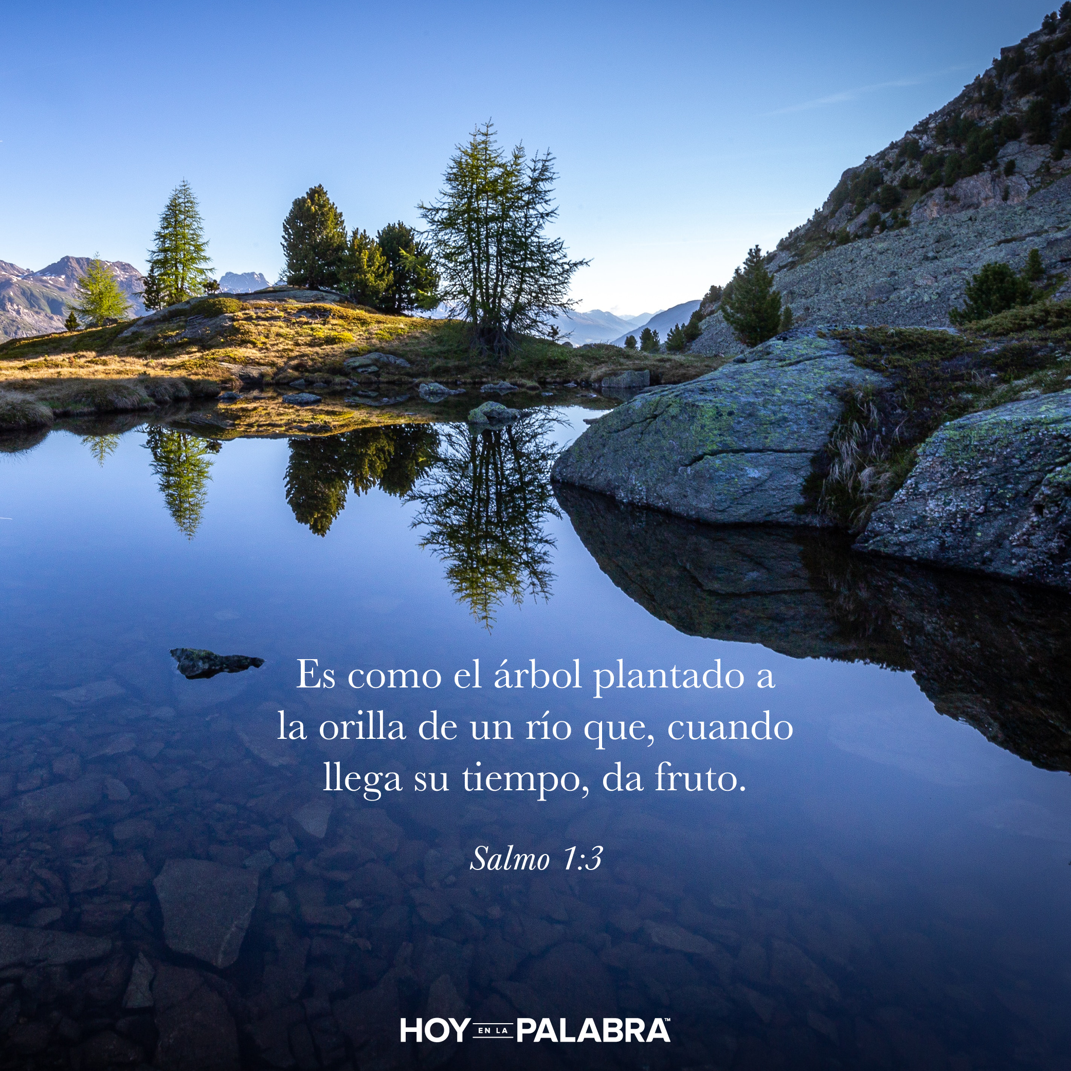 La Palabra de Dios es nuestro deleite