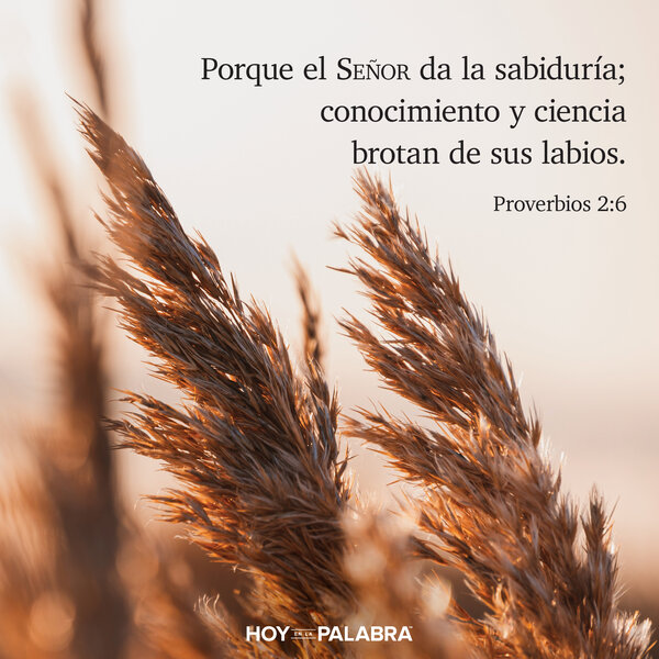 Sabiduría en acción