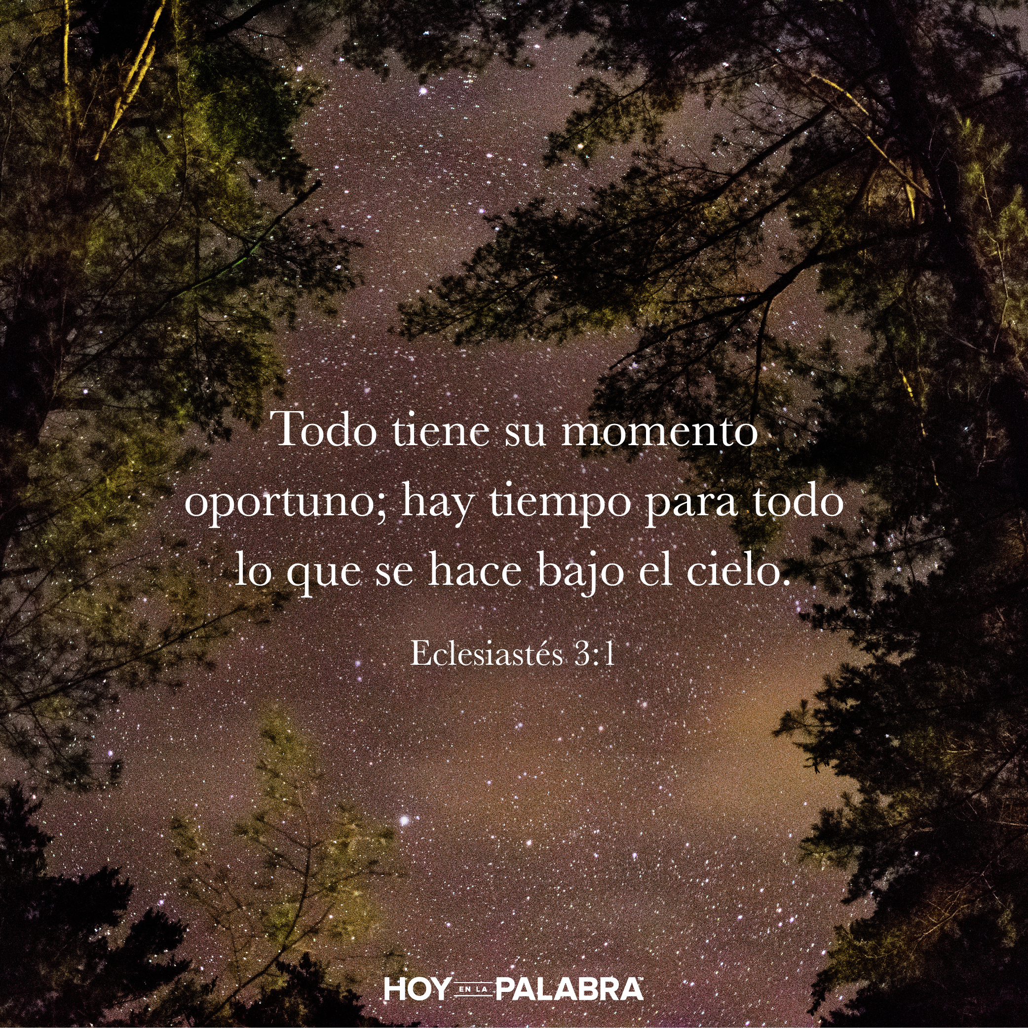 UN TIEMPO PARA CADA COSA