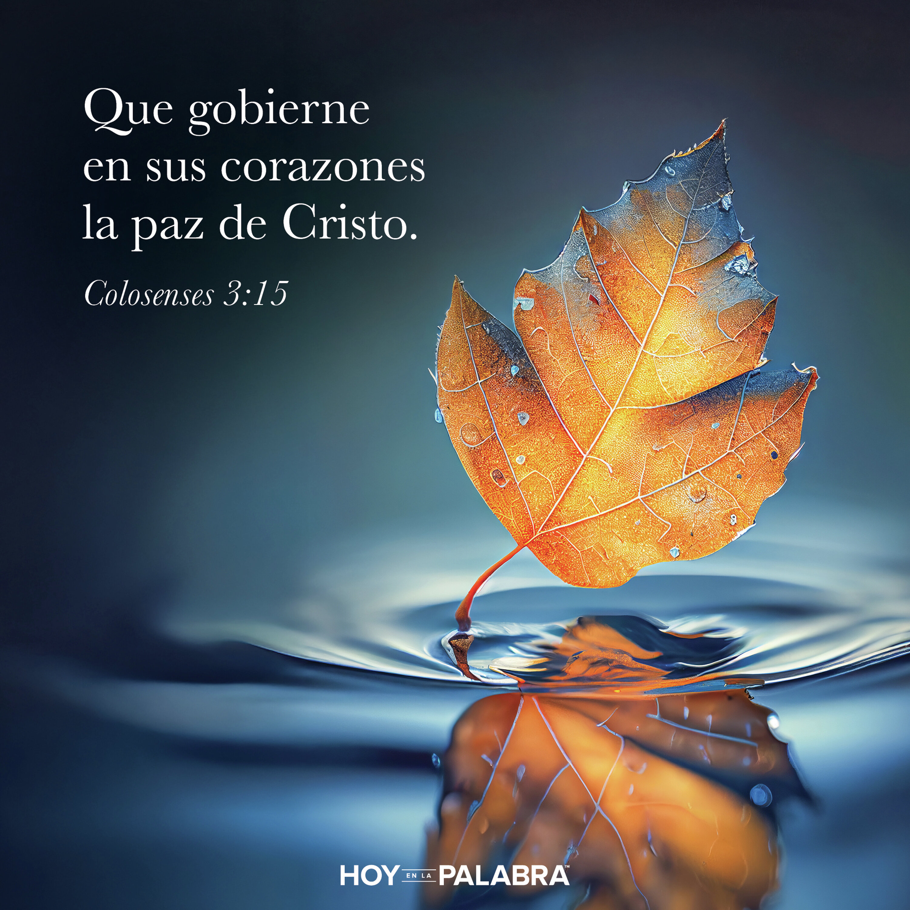 QUE LA PAZ REINE