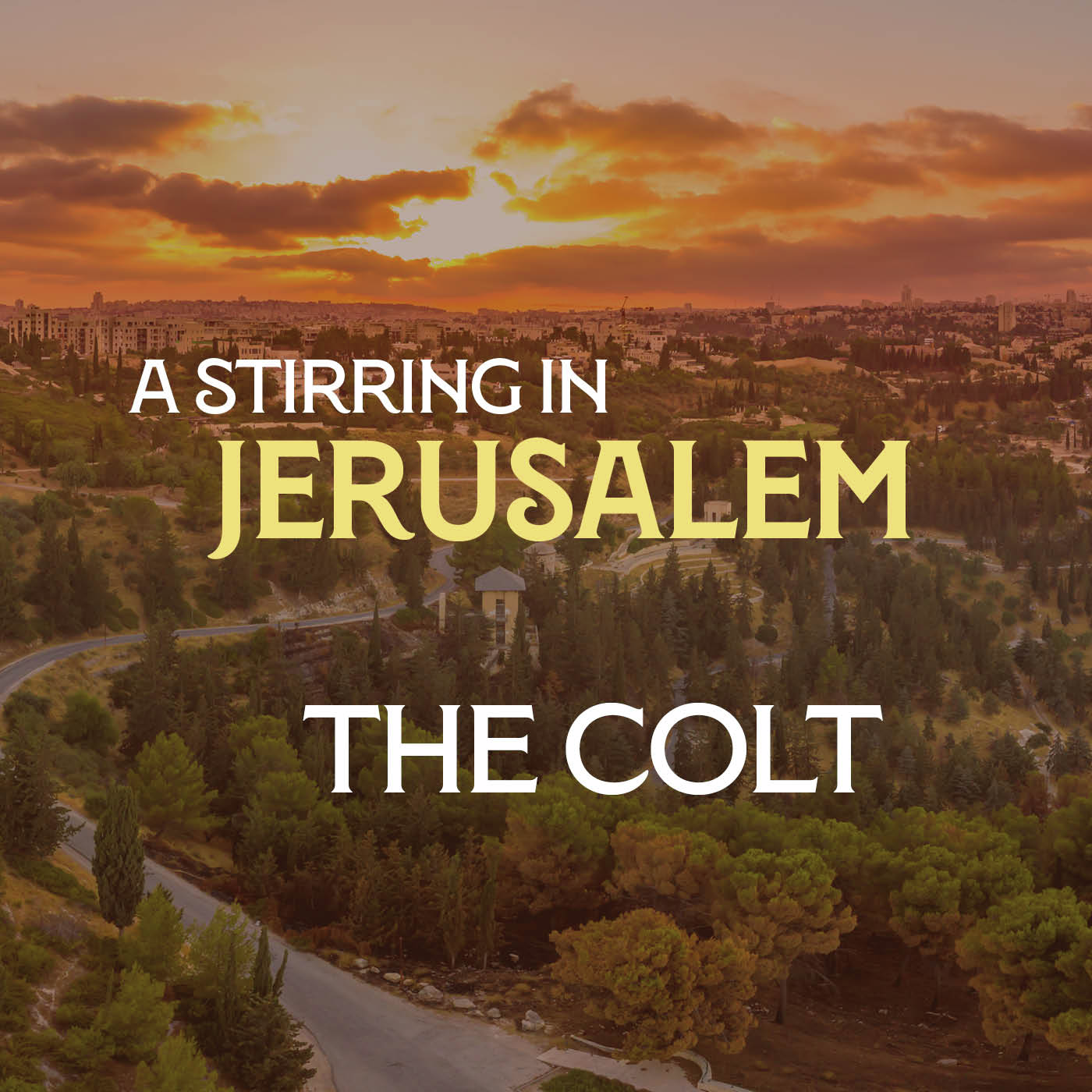 A Stirring in Jerusalem 01: The Colt