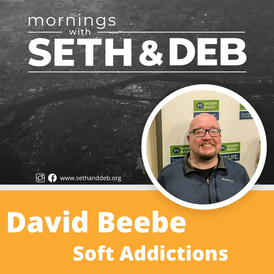 Soft Addictions: A Conversation with David Beebe