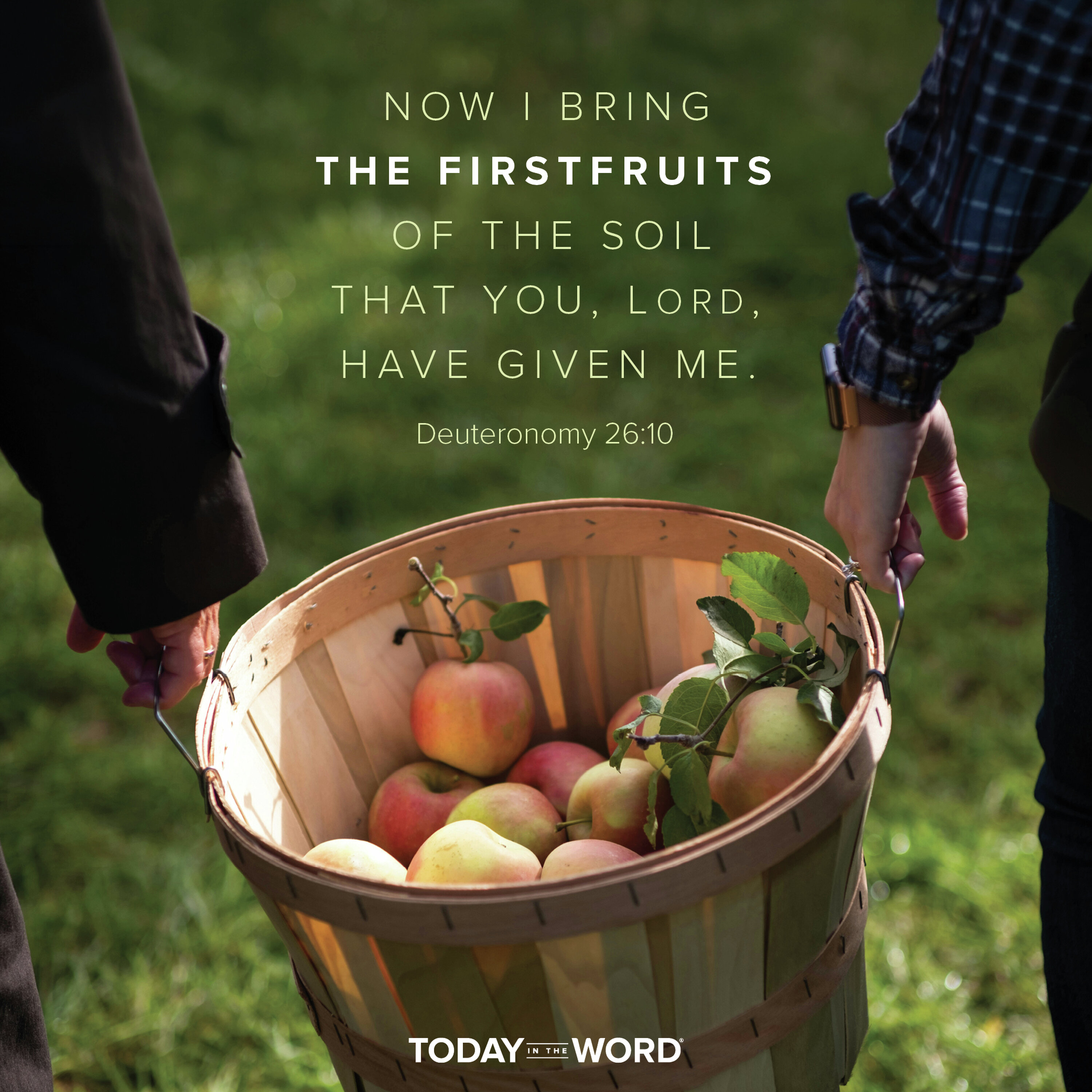 Overflowing Gratitude