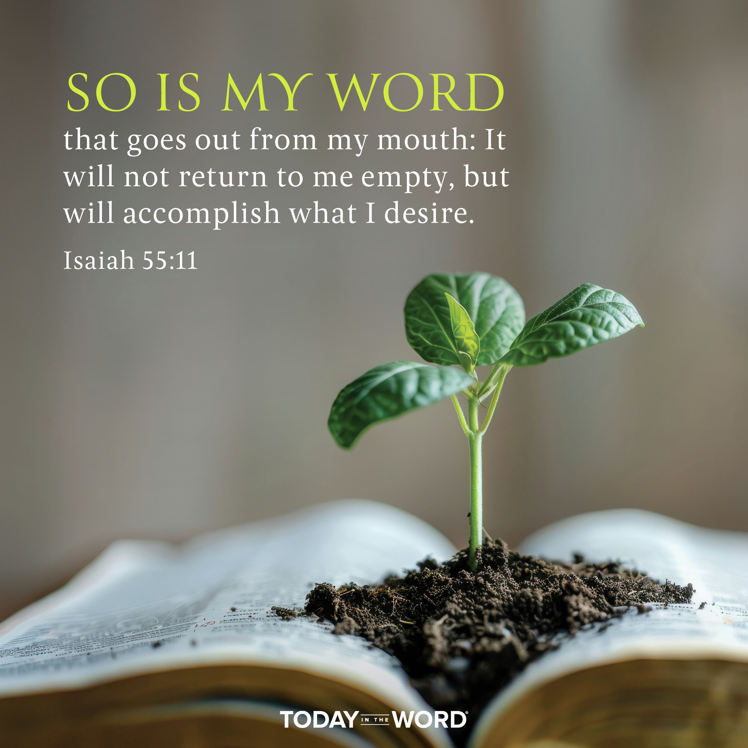 The Fruitful Word