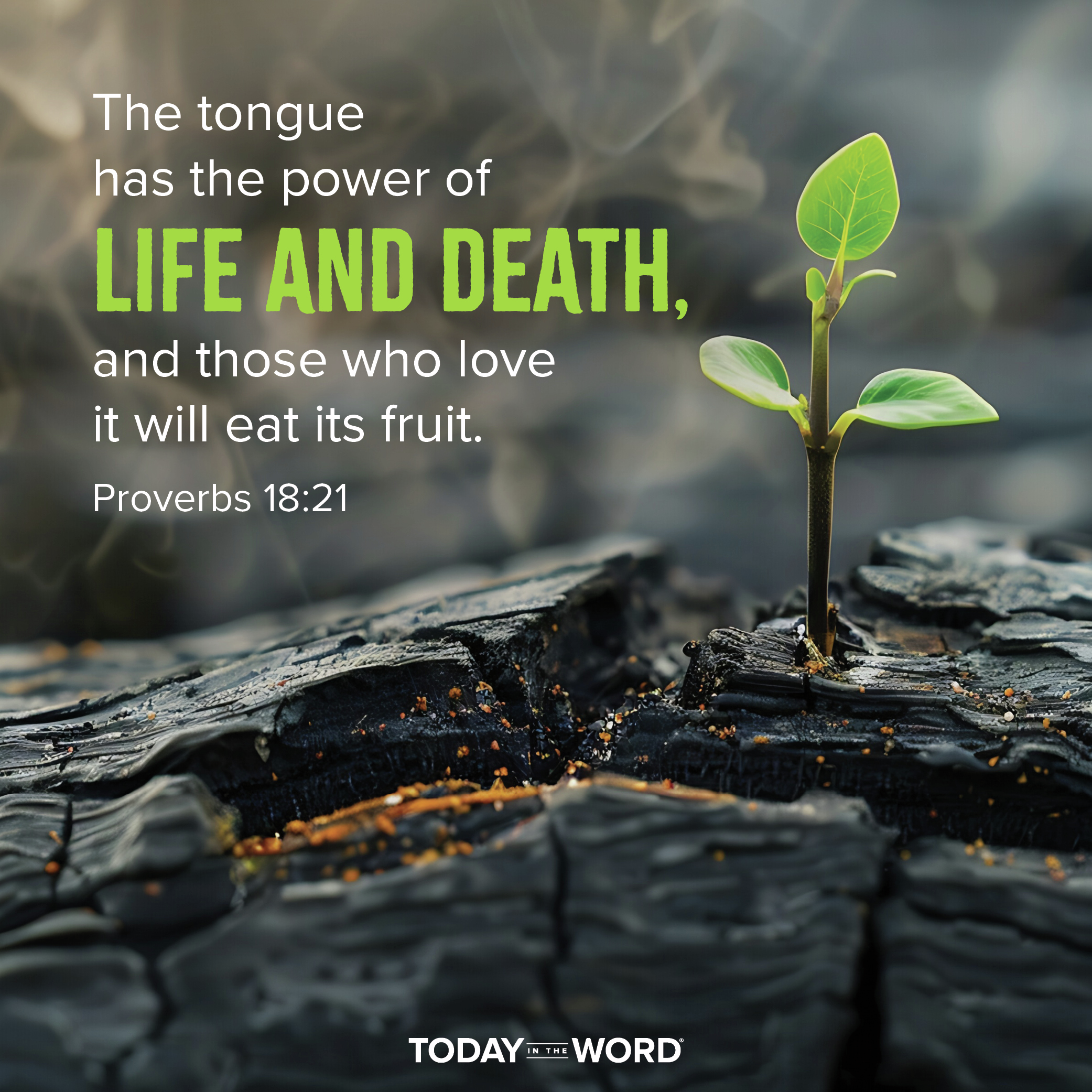 Power of Life and Death