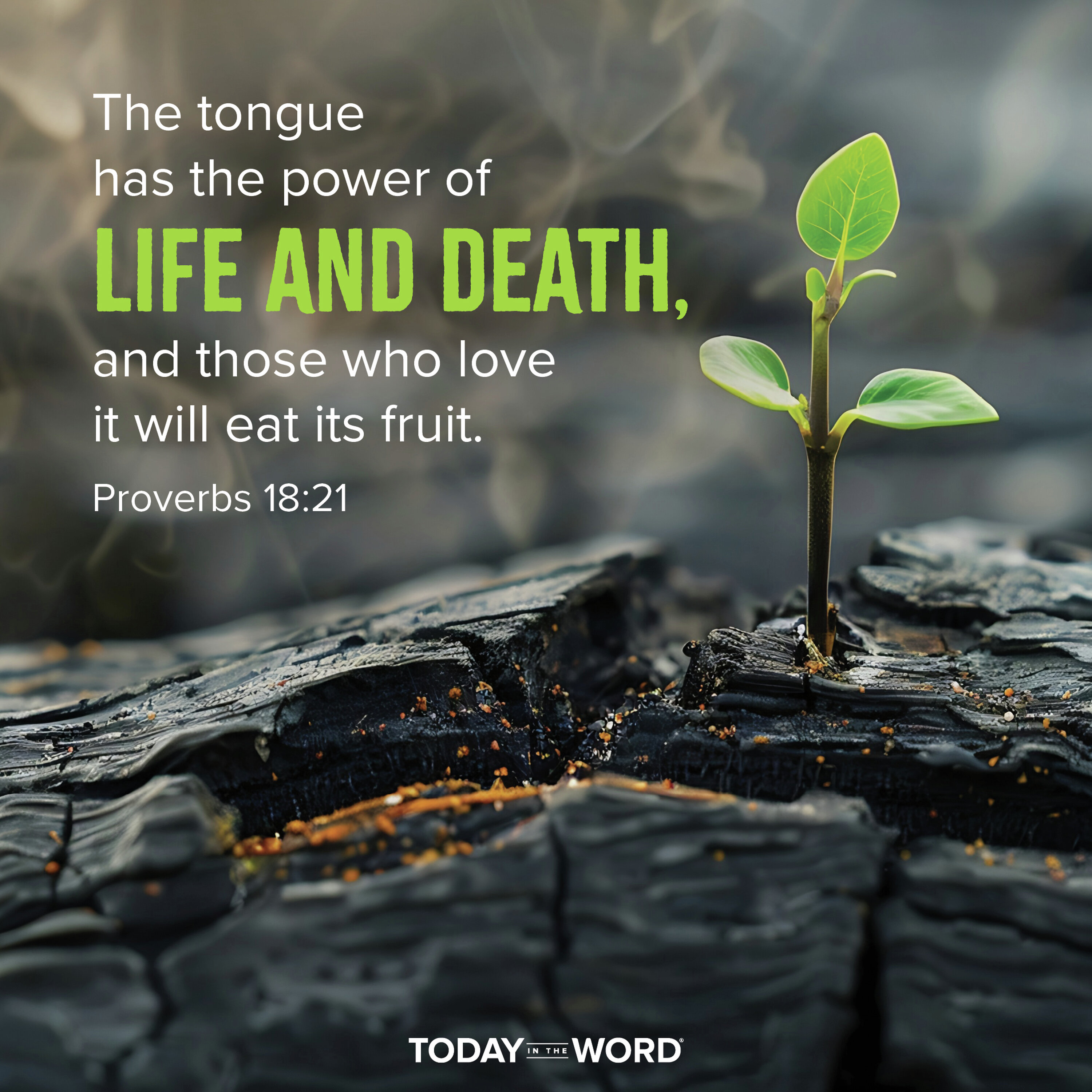 Power of Life and Death