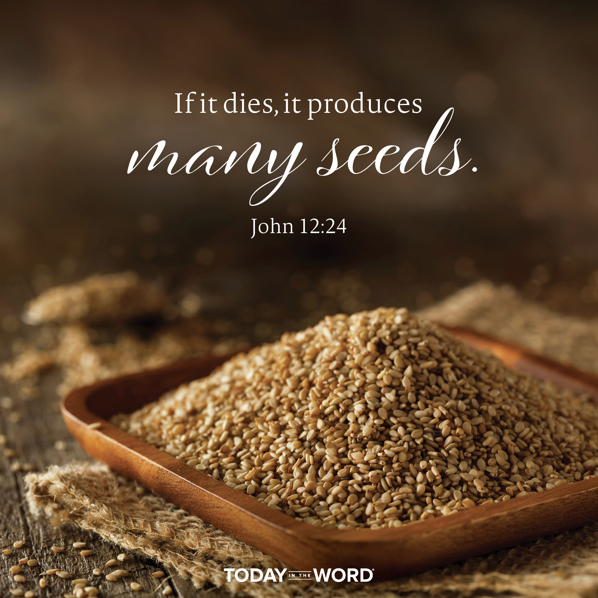 Seeds Must Die