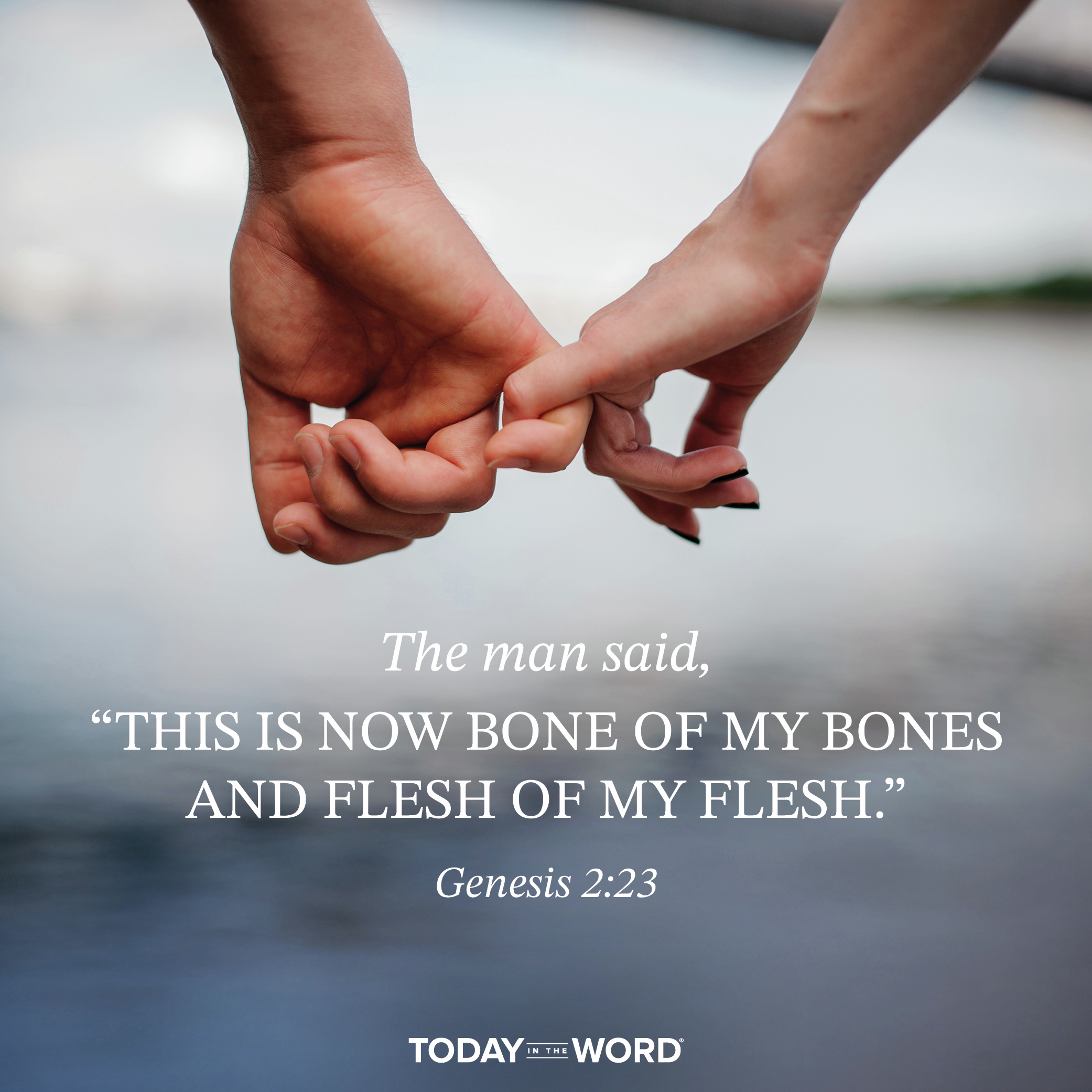 Created for Communion