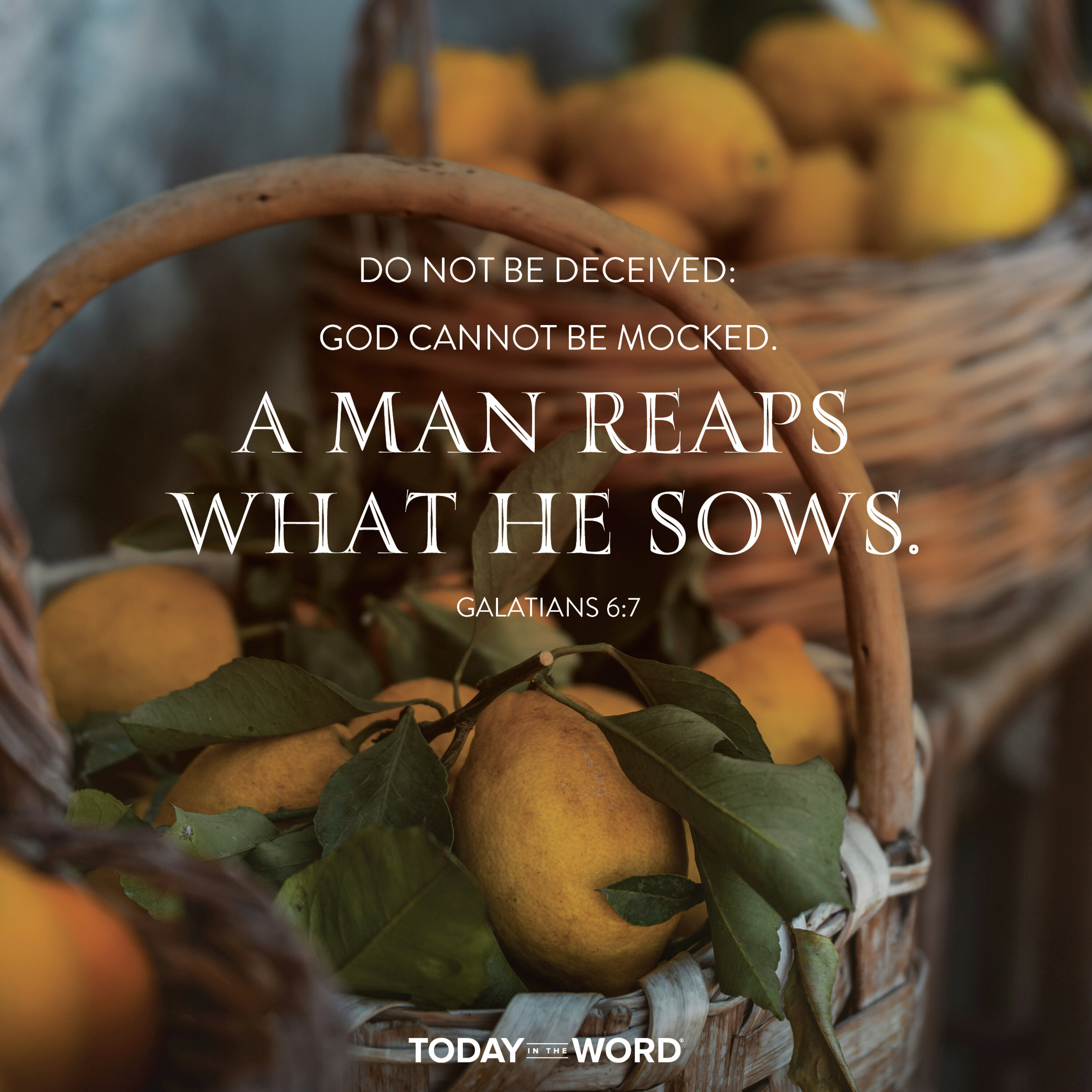 Reap What You Sow