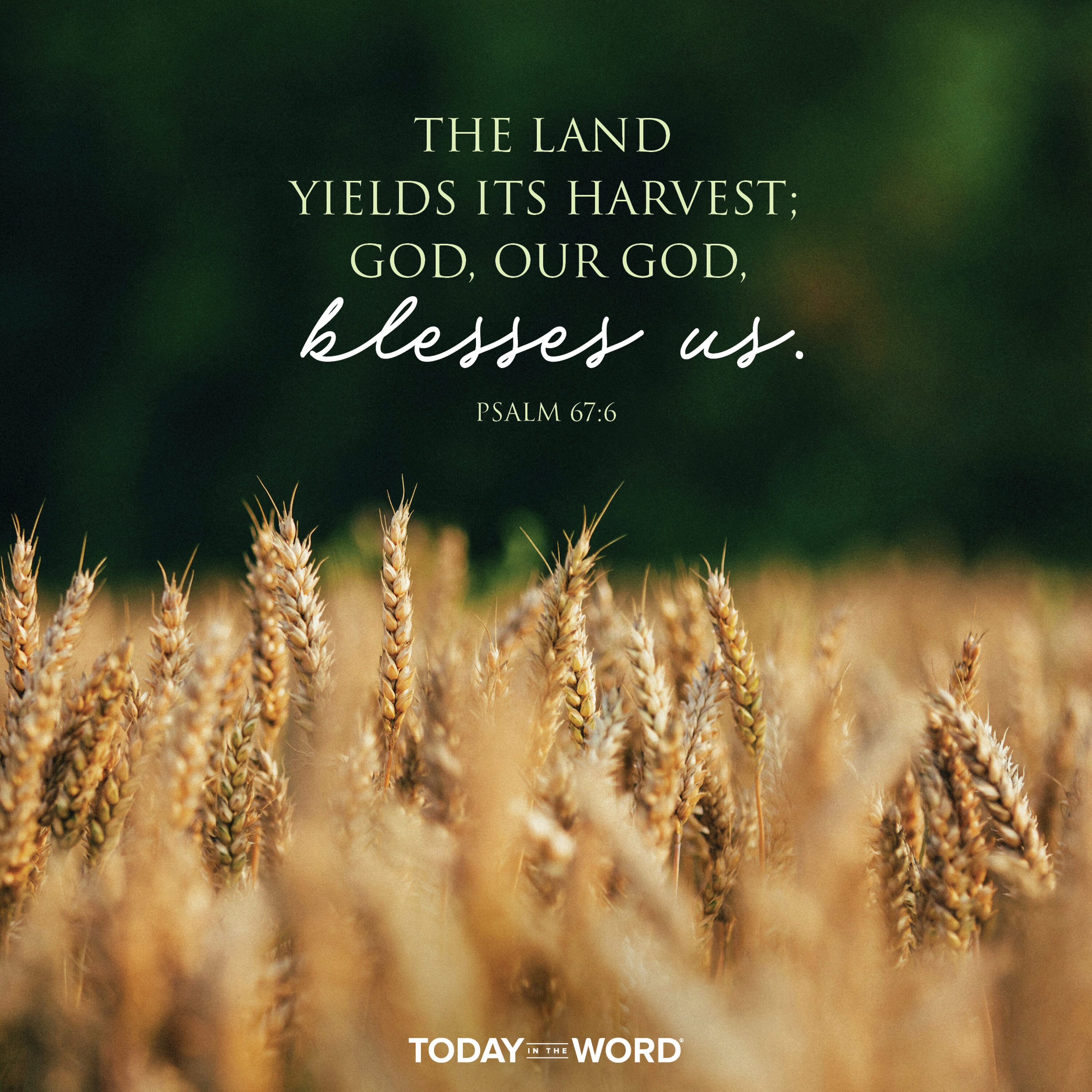 Harvest and Blessing