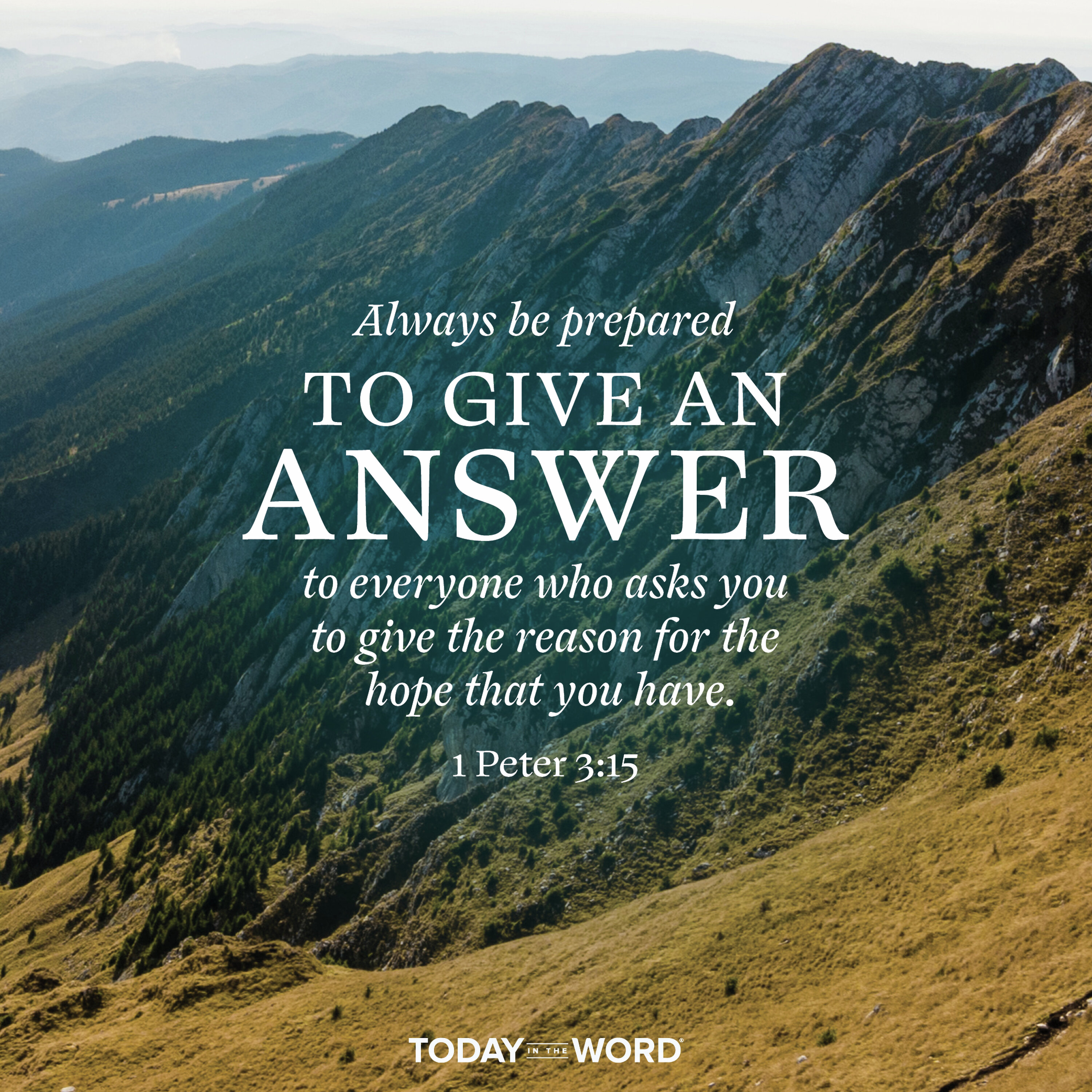 Give an Answer
