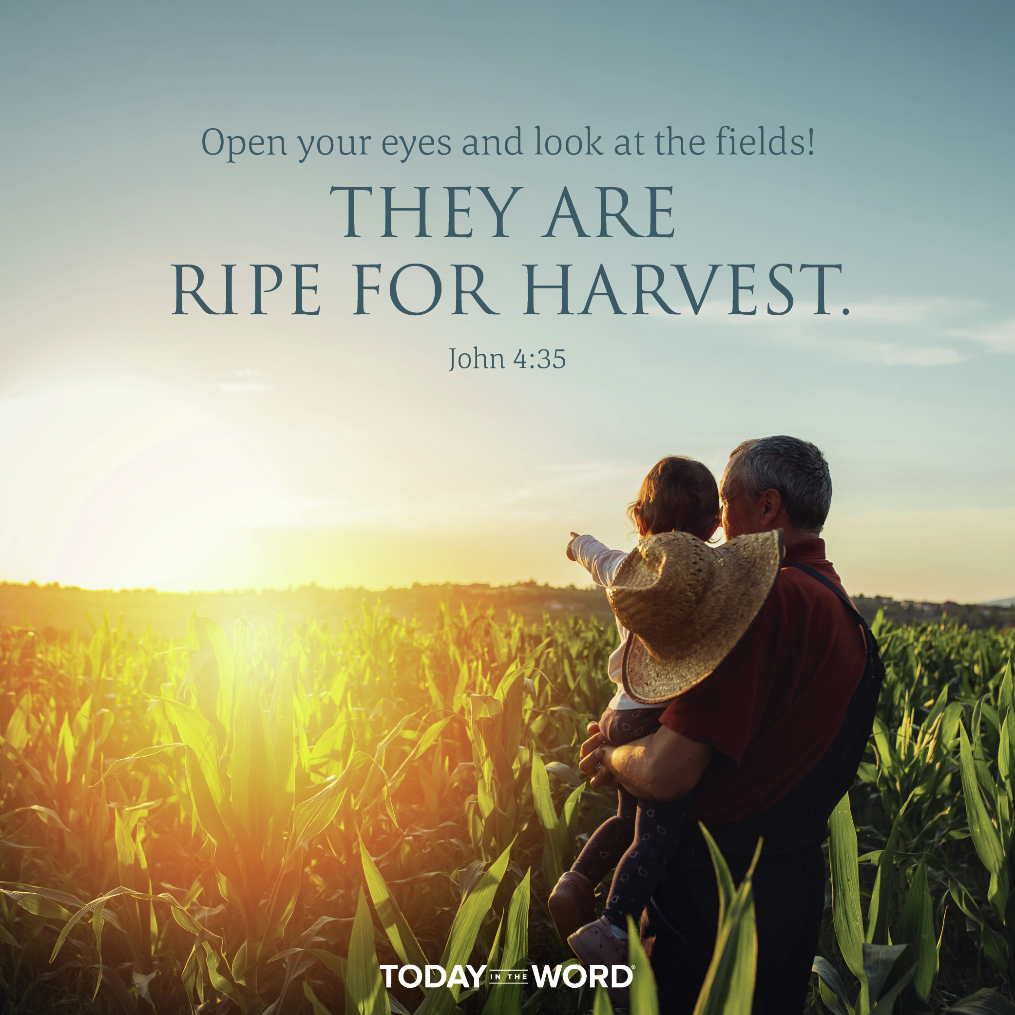 Ripe for Harvest