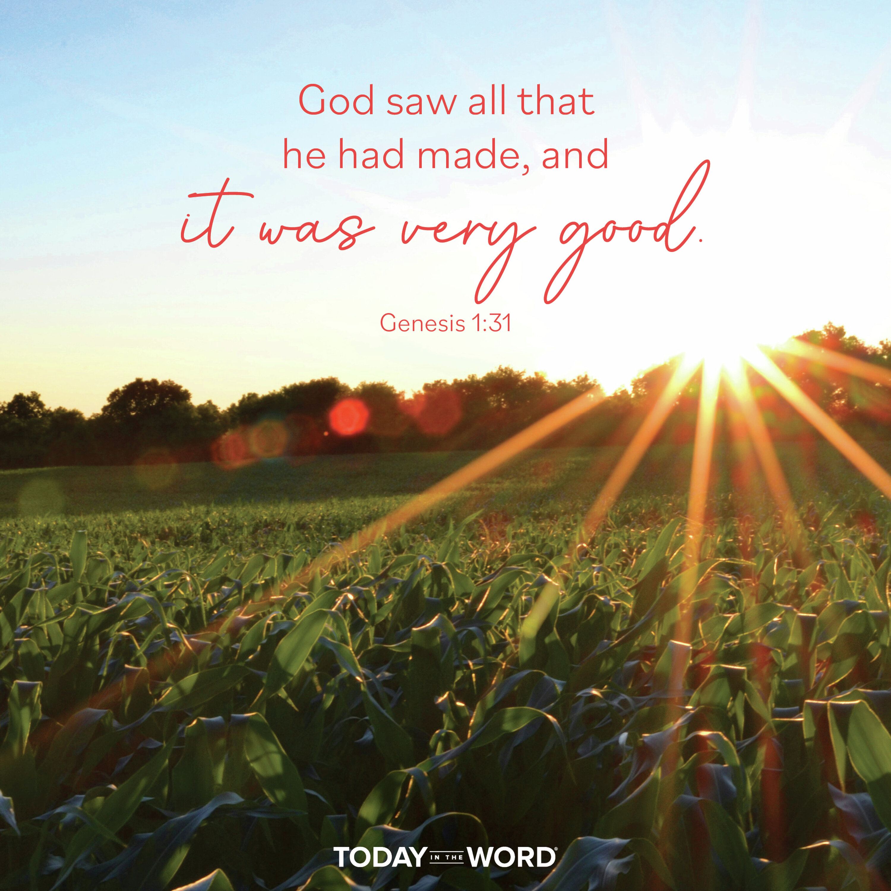 The Creation Mandate