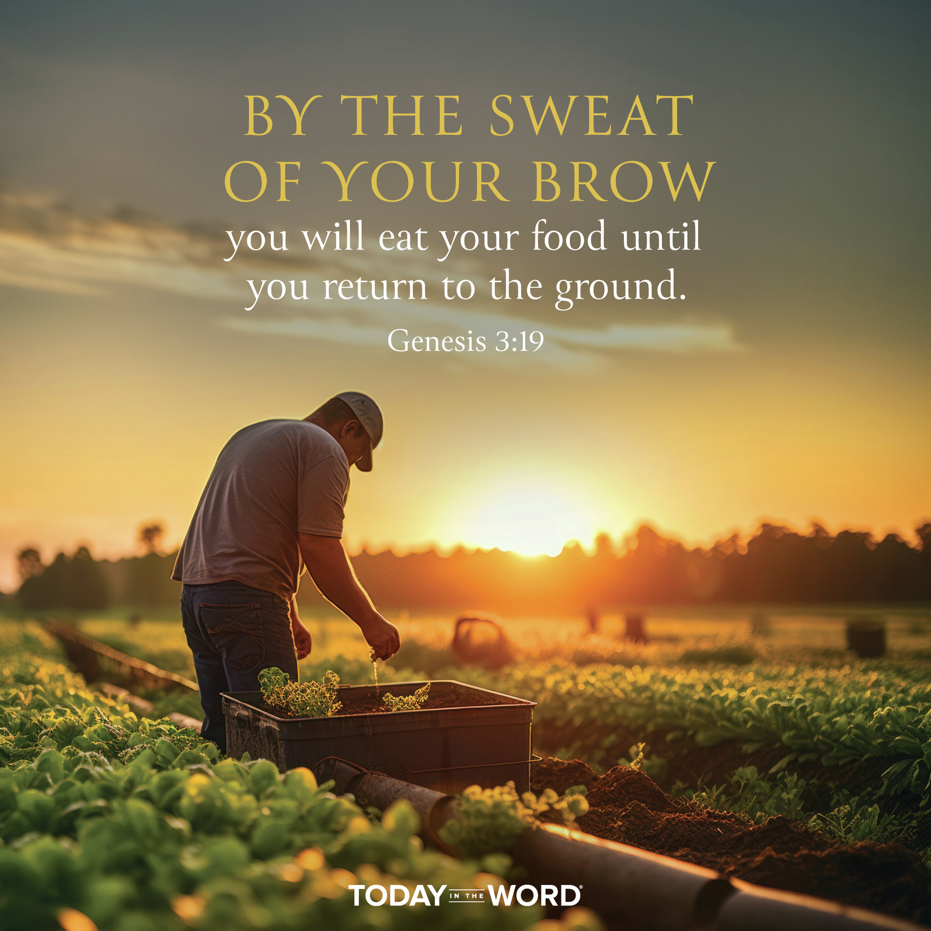 Curse of the Ground