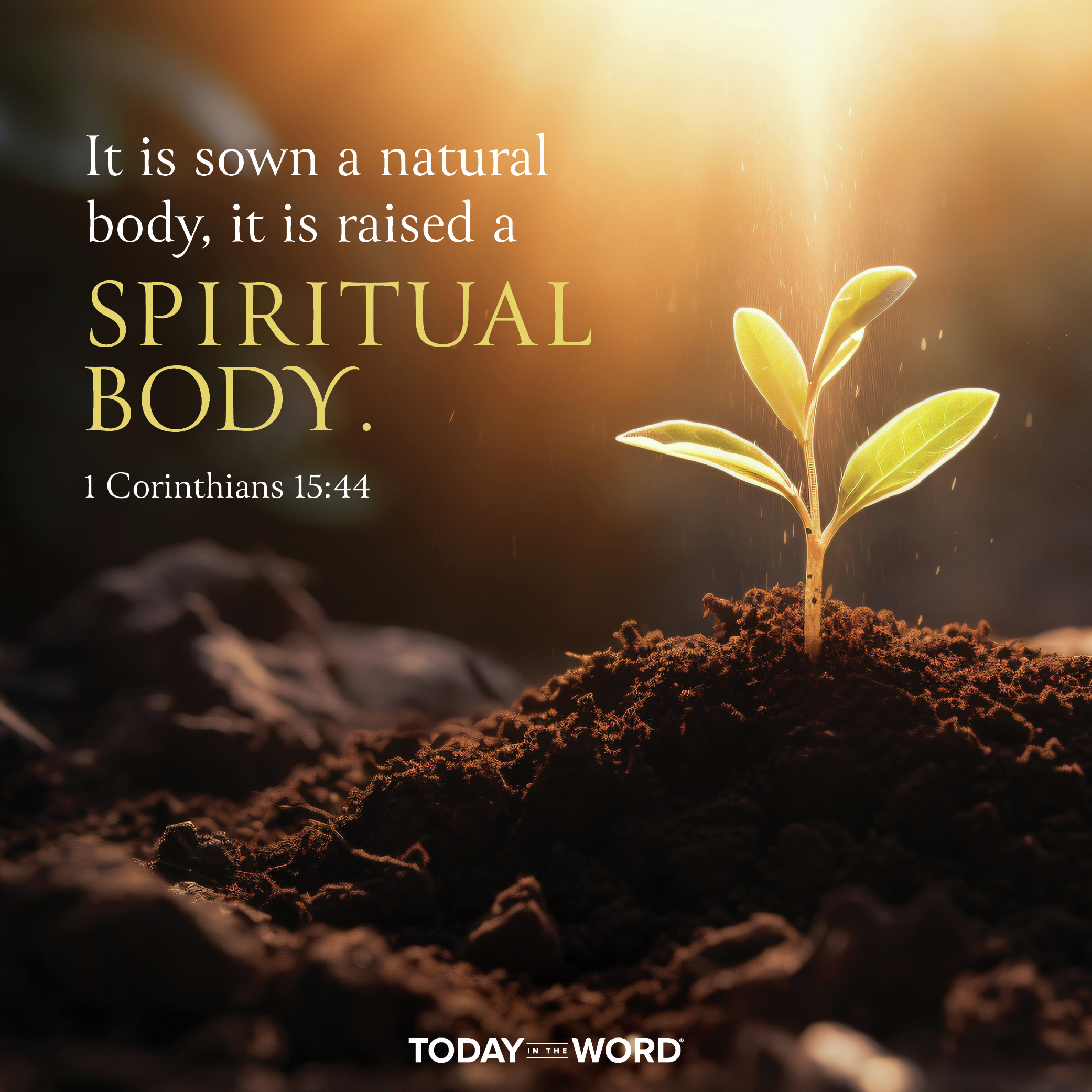 Sowing Bodies