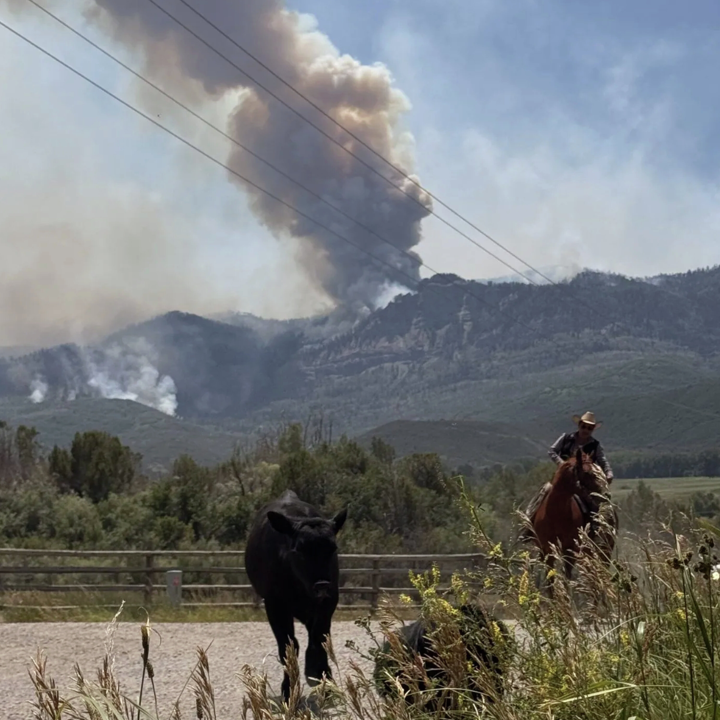 Colorado ranchers moving herds around wildfires