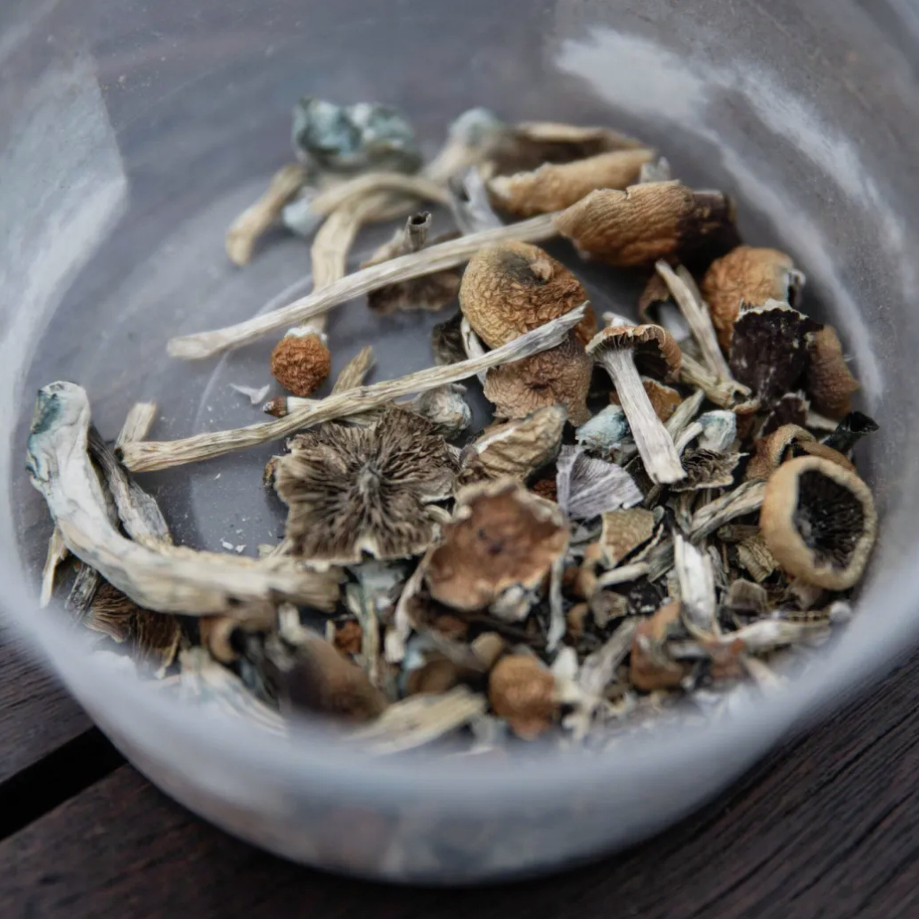 How Coloradans Are Using Legal Psilocybin & Just How Bad the Drought Has Gotten episode artwork