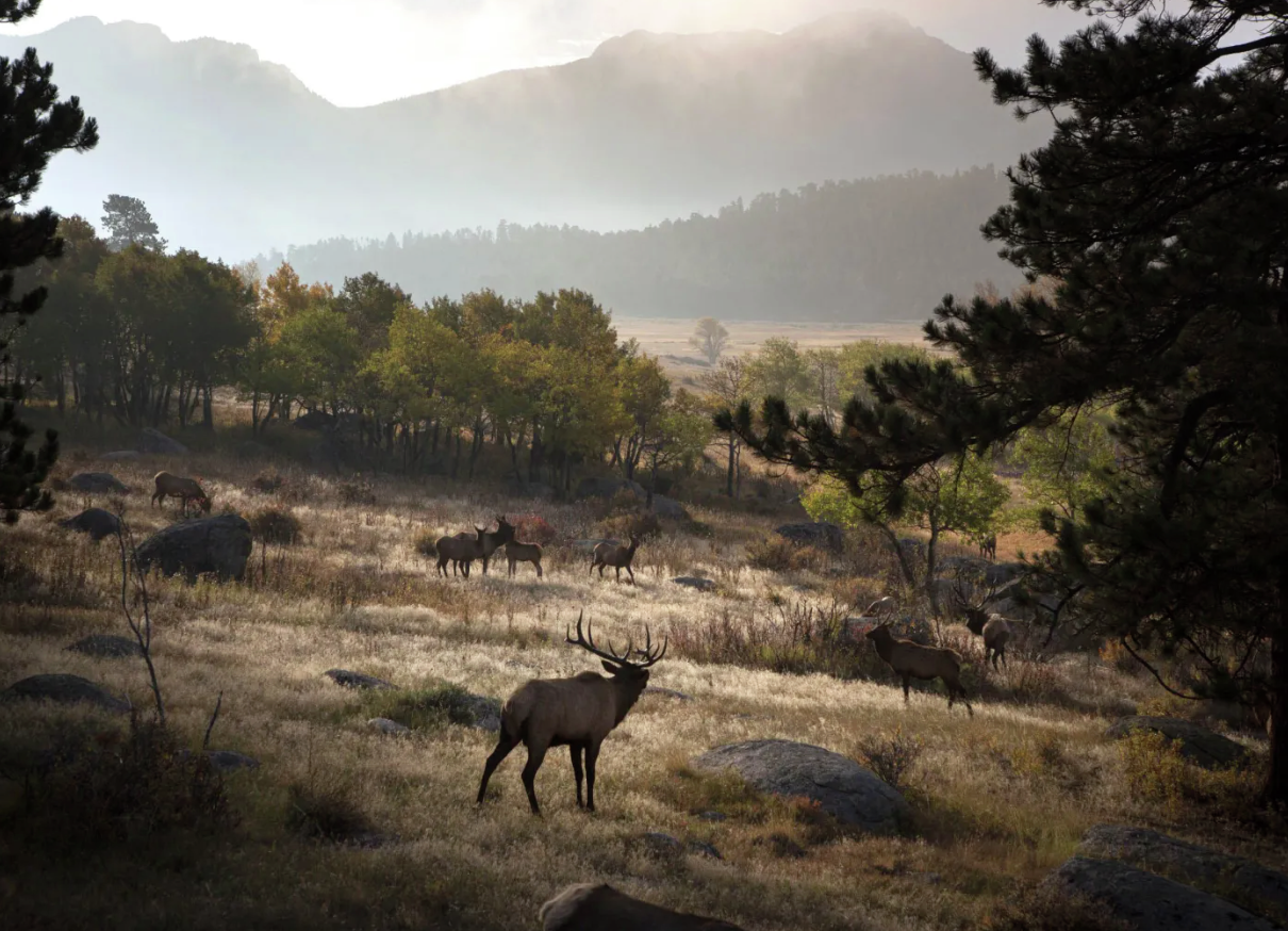 Colorado Parks and Wildlife commission setback