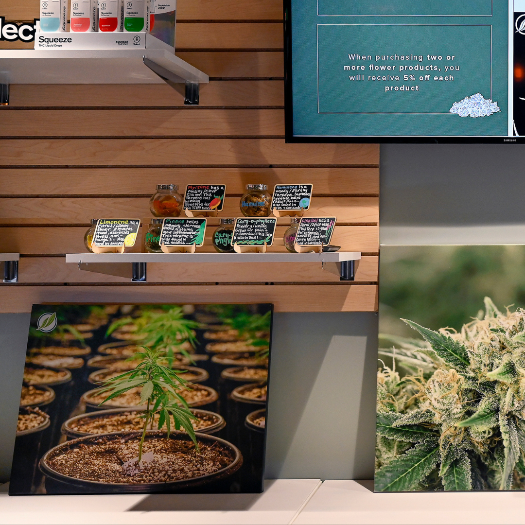 The state of Connecticut's cannabis industry from 'Clean Slate' to equity joint ventures episode artwork