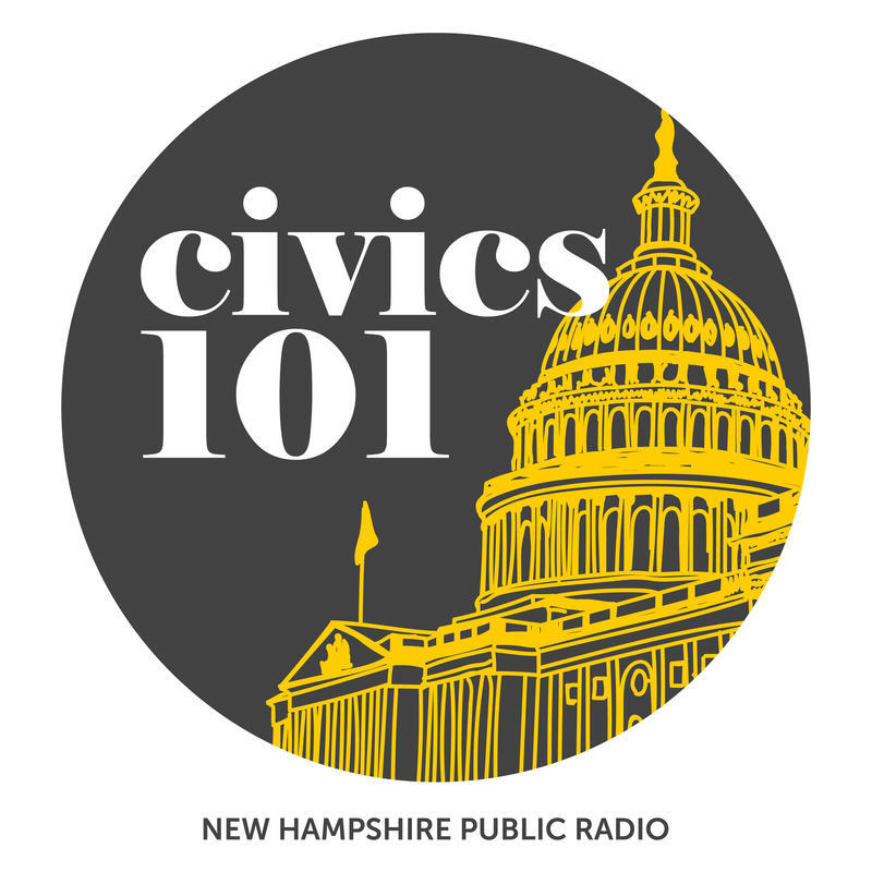 Civics 101: Why Vote, And How To Do It