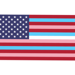 Home Of The Brave: The Power Of Trans Veterans